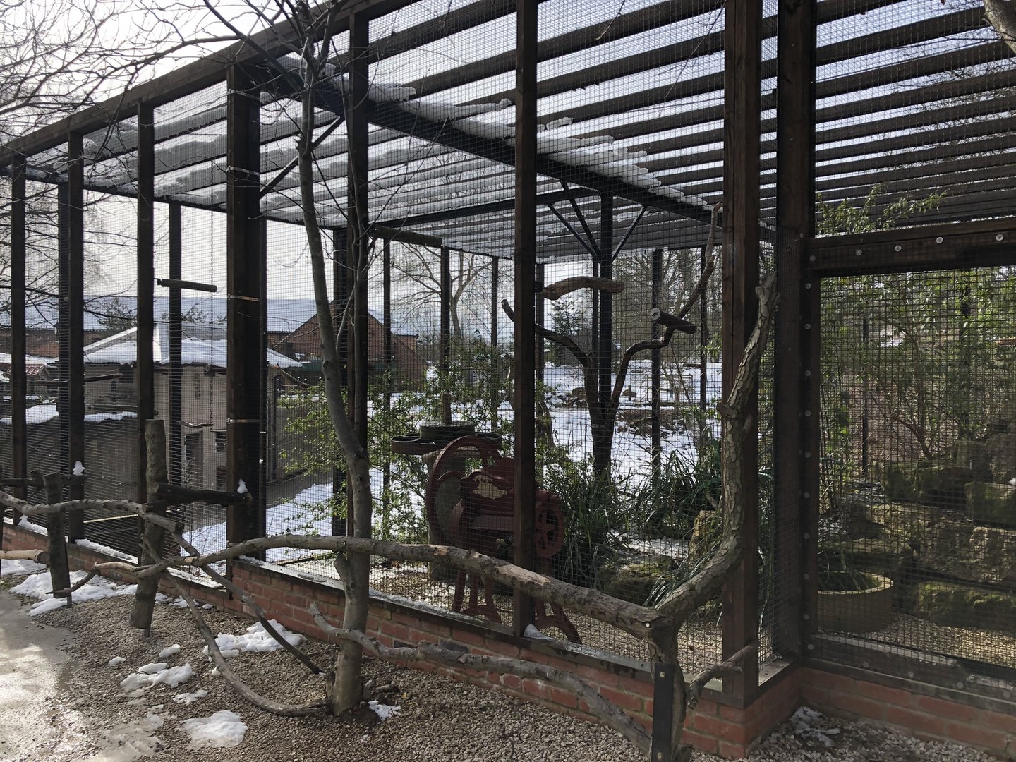 Parrot Kingdom (?) at Tropical Butterfly House (March 2023)