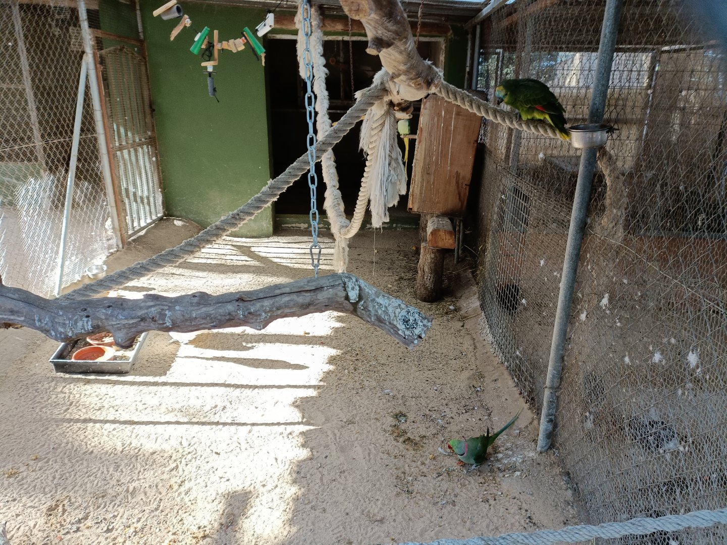 Parrot mixed exhibit - Bioparque La Rocha