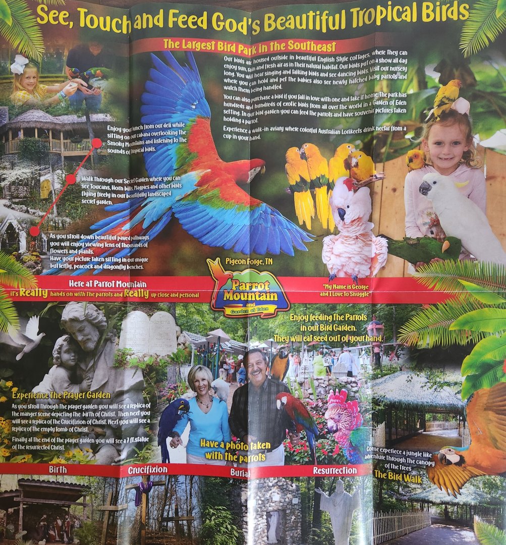 Parrot Mountain - Brochure