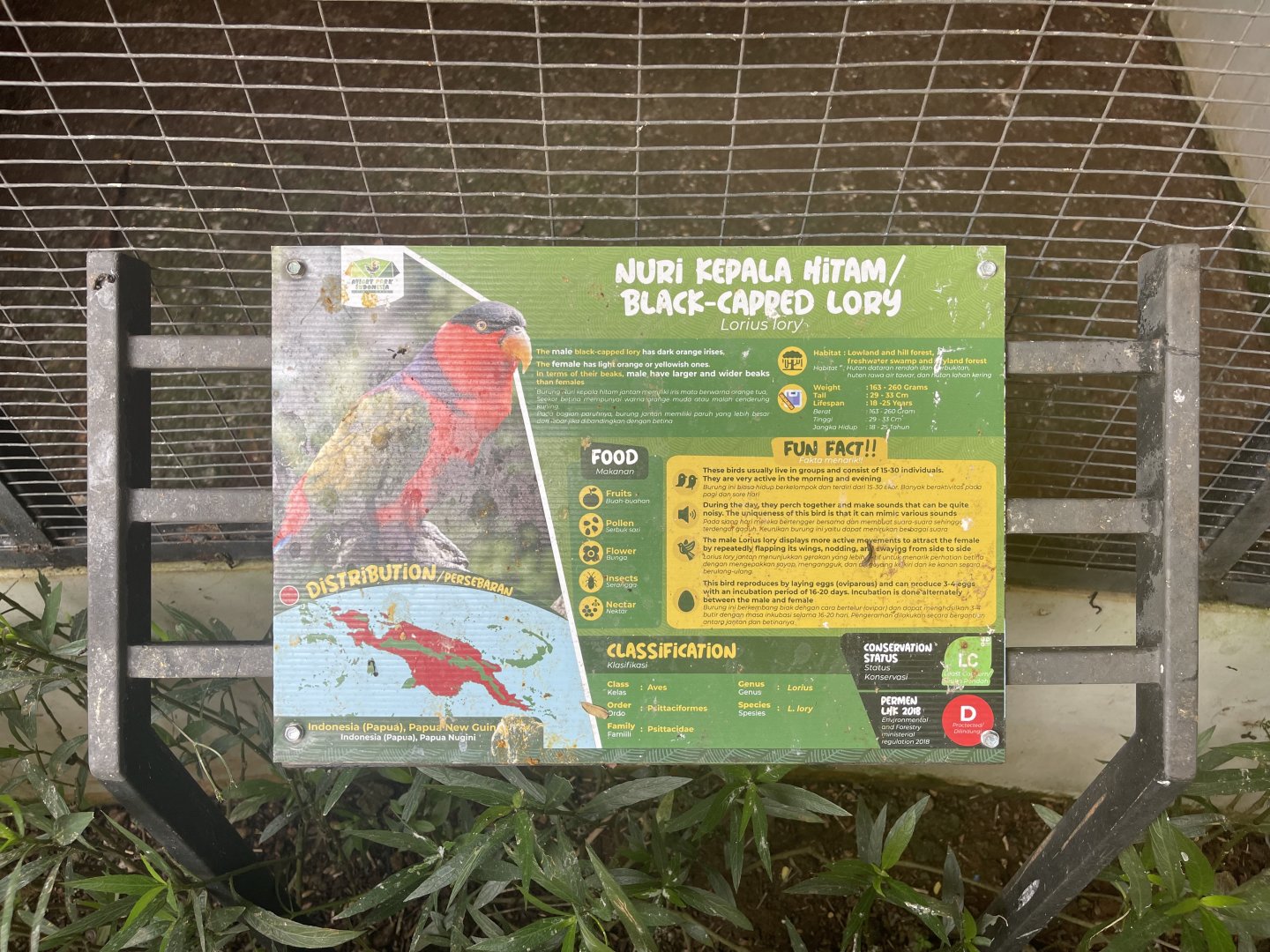 parrot paradise - black-capped lory signage - aviary park
