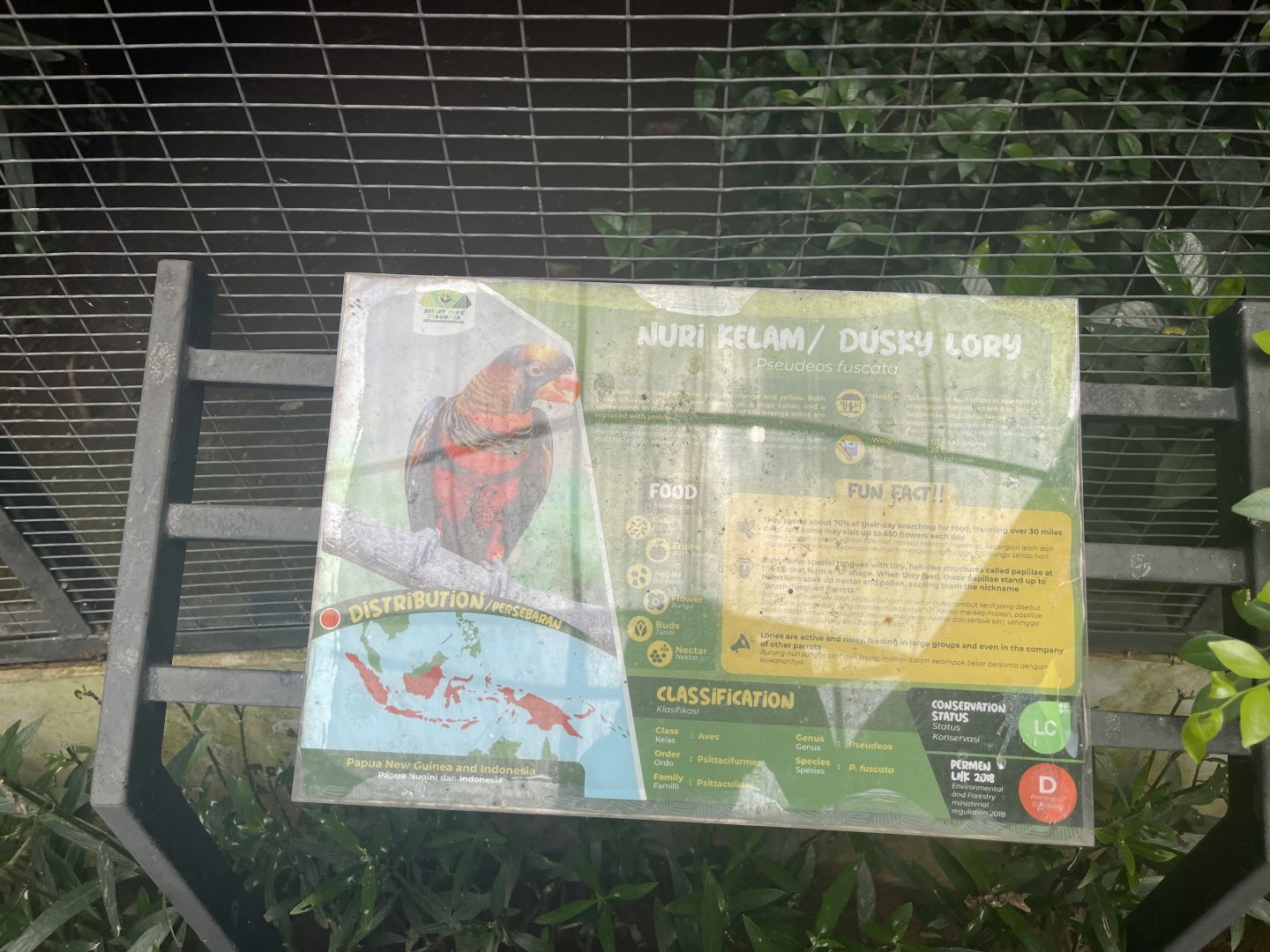 parrot paradise - dusky lory signage - aviary park