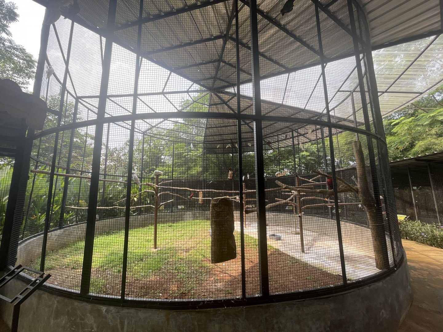 parrot paradise - giant aviary - aviary park