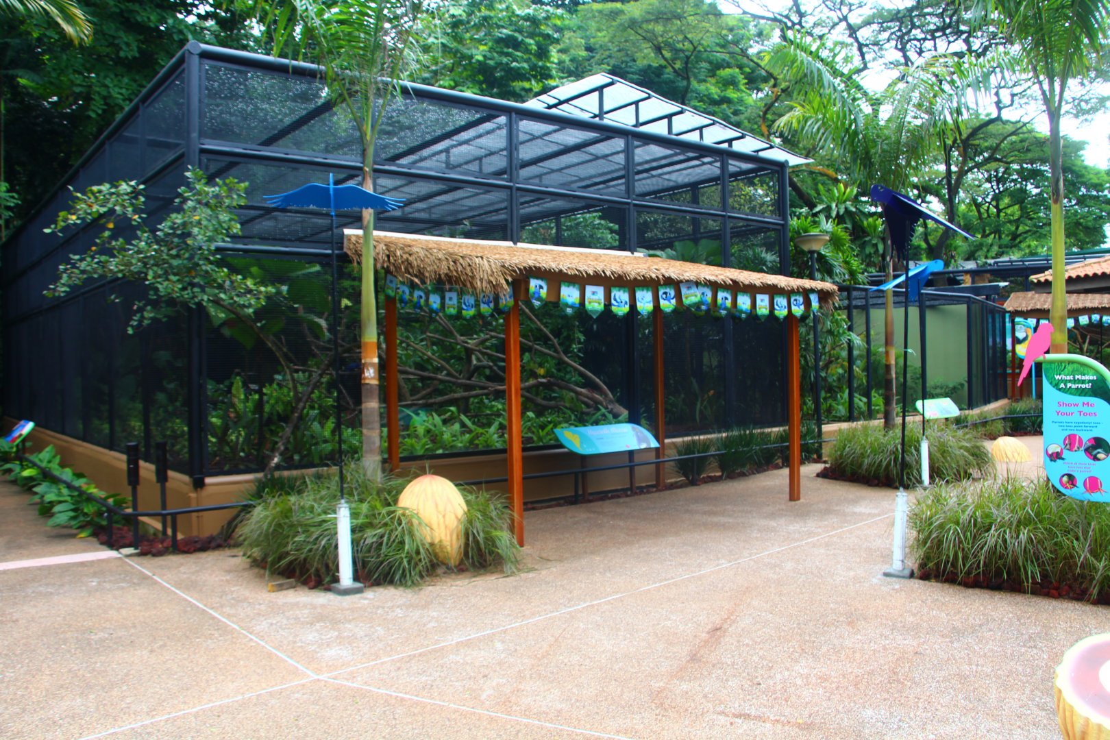 Parrot Paradise - Hyacinth Macaw exhibit