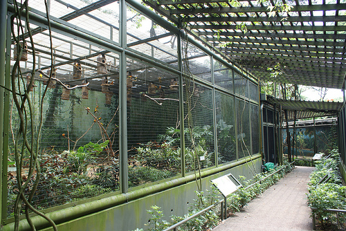 Parrot Paradise, Jurong BirdPark