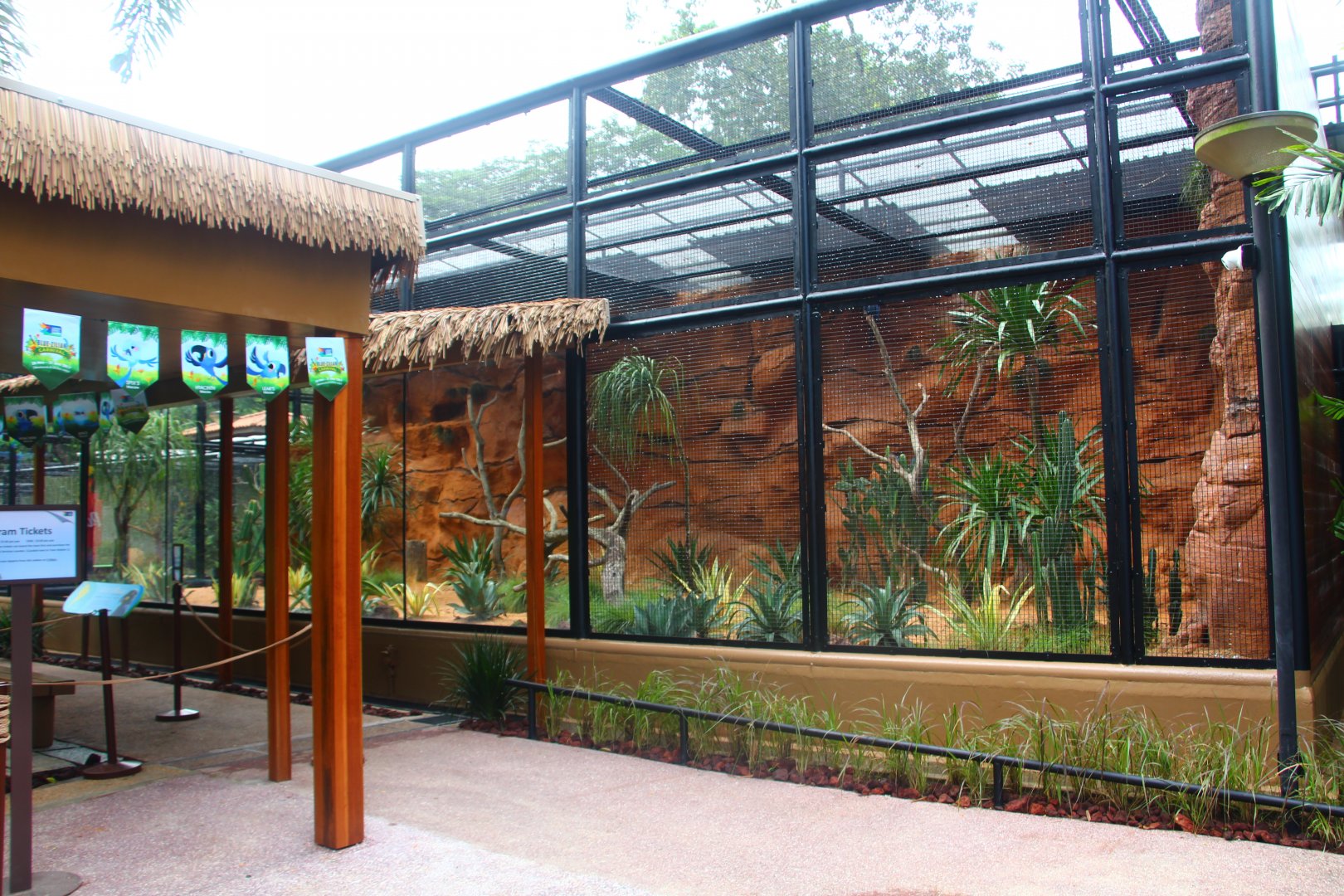 Parrot Paradise - Lear's Macaw exhibit