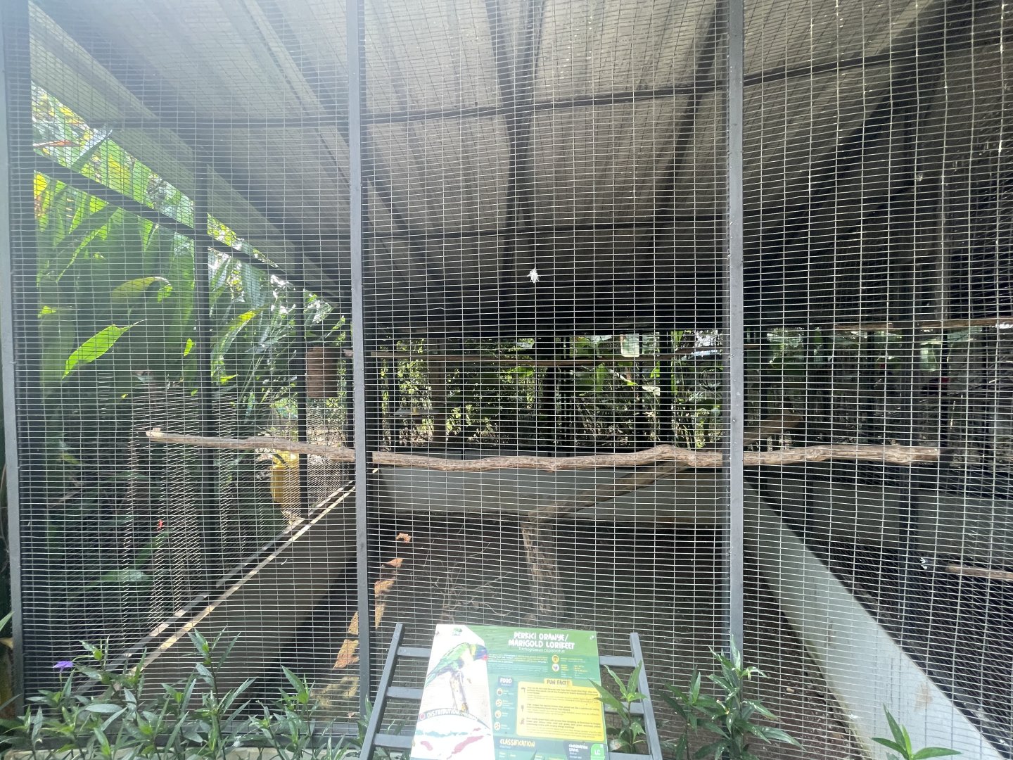 parrot paradise - marigold lorikeet aviary - aviary park