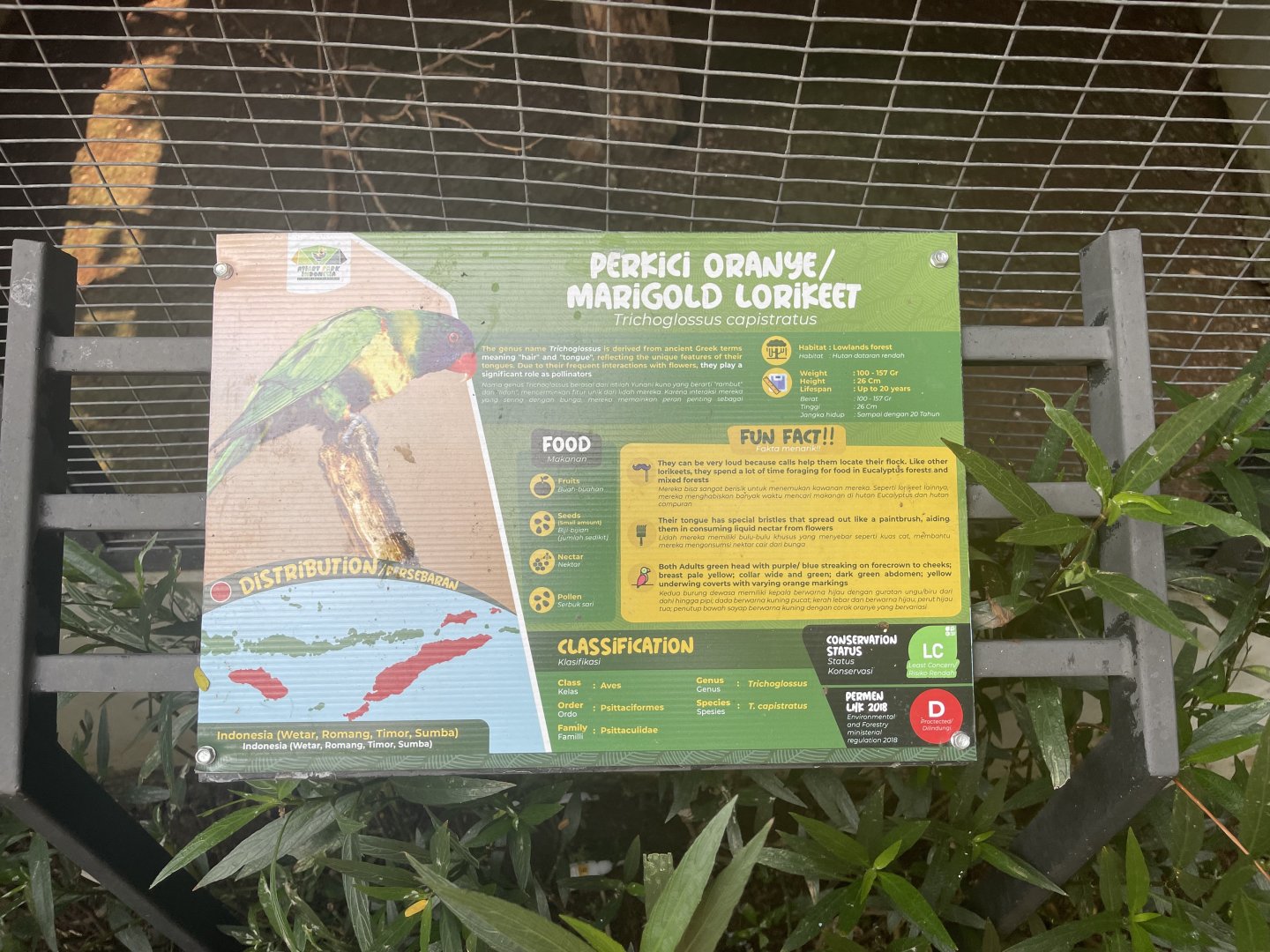 parrot paradise - marigold lorikeet signage - aviary park