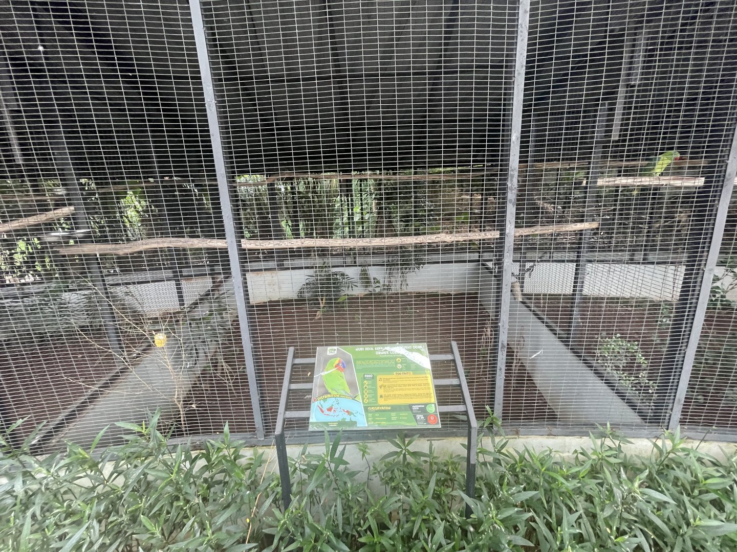 parrot paradise - ornate lorikeet aviary - aviary park