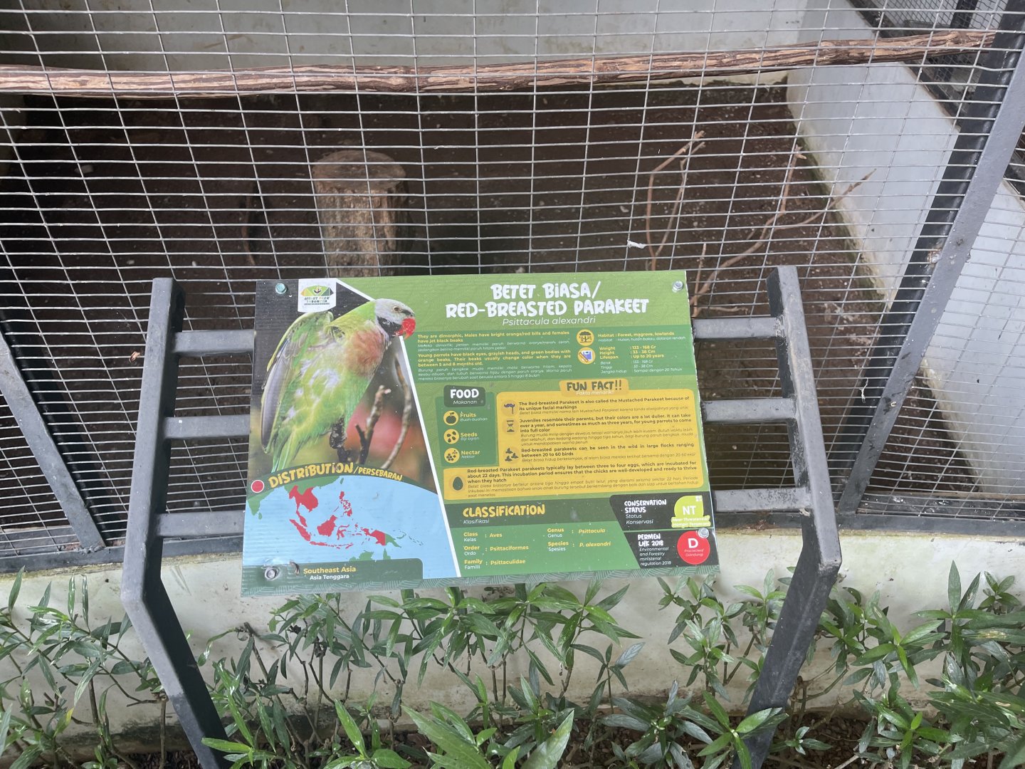 parrot paradise - red-breasted parakeet signage - aviary park