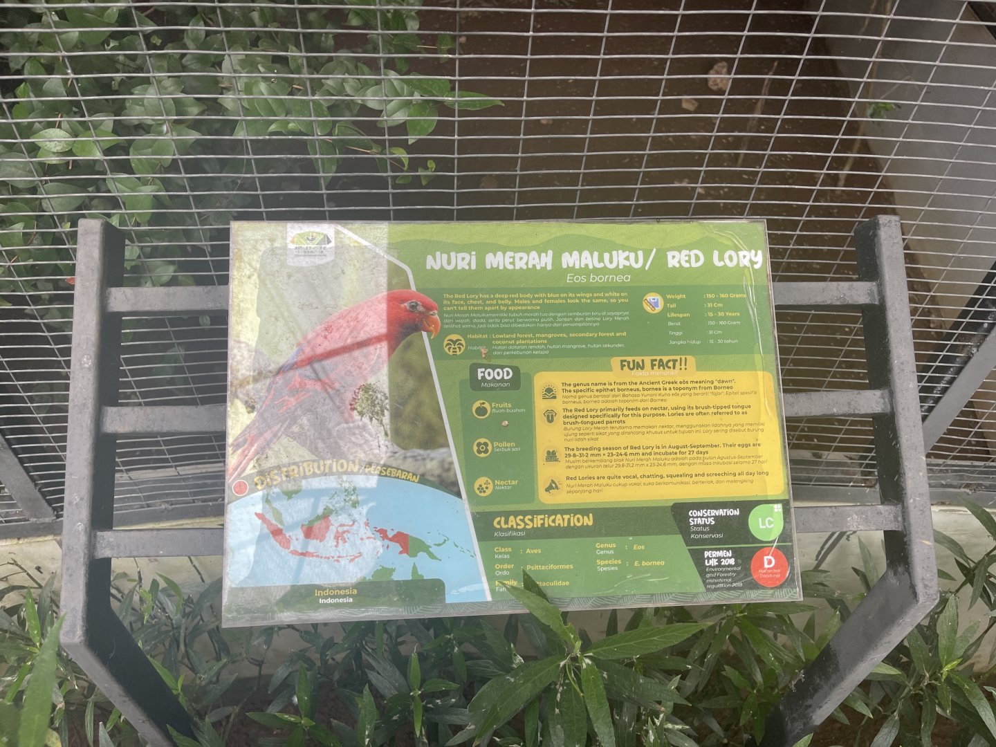parrot paradise - red lory signage - aviary park