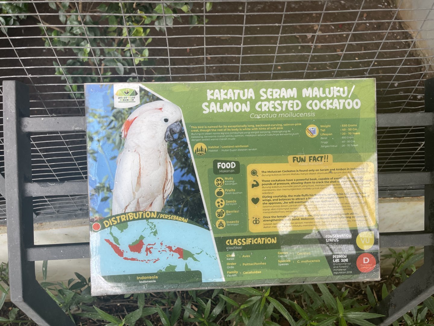 parrot paradise - salmon-crested cockatoo signage - aviary park