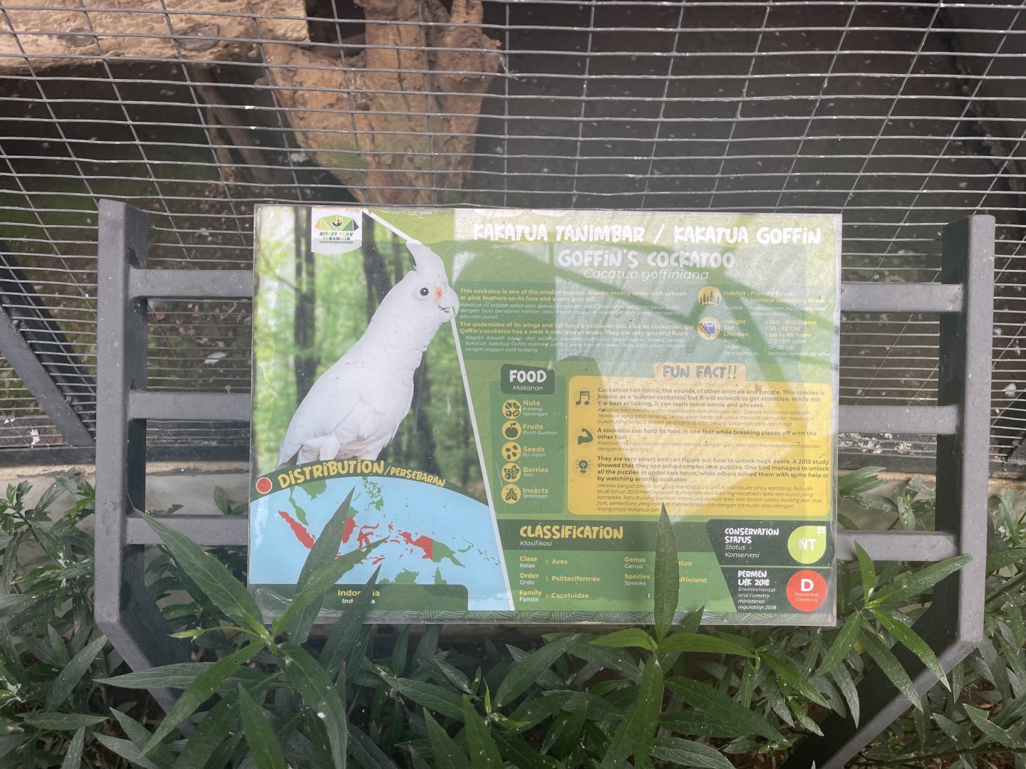 parrot paradise - tanimbar cockatoo signage - aviary park
