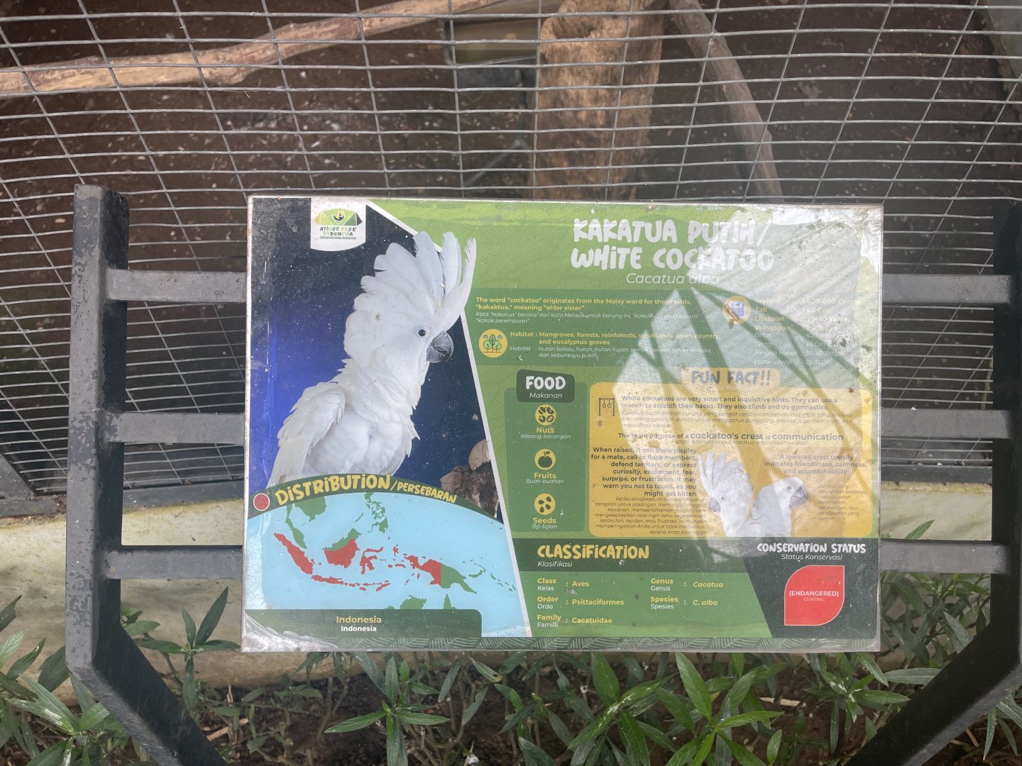 parrot paradise - white cockatoo signage - aviary park