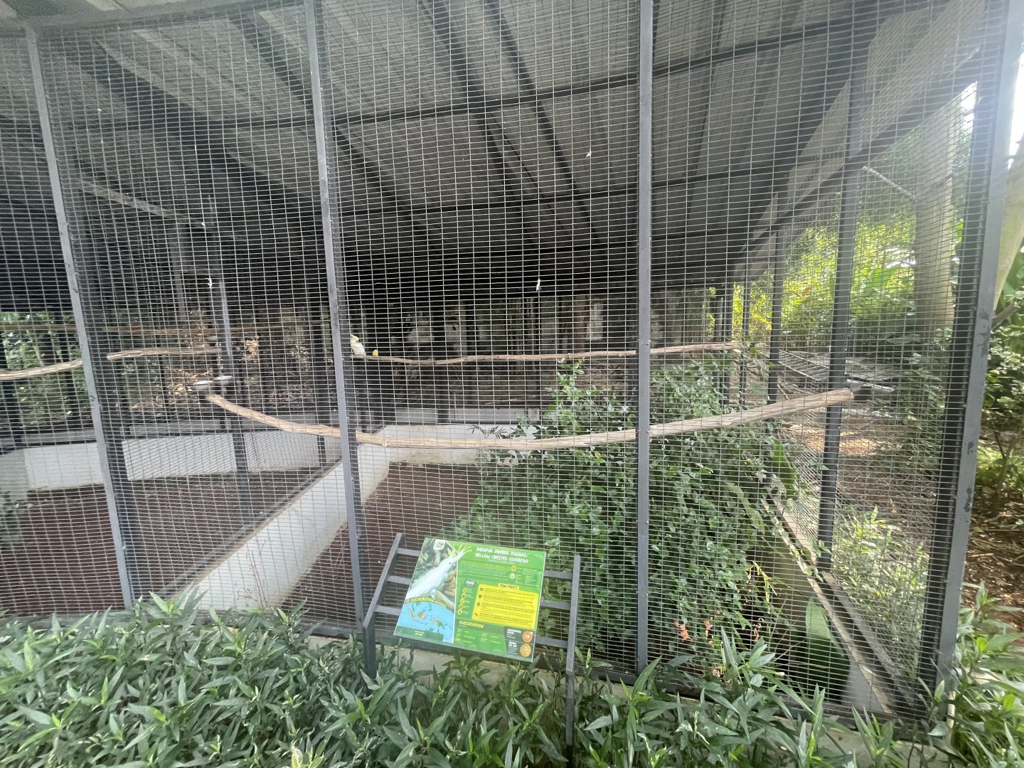 parrot paradise - yellow-crested cockatoo aviary - aviary park