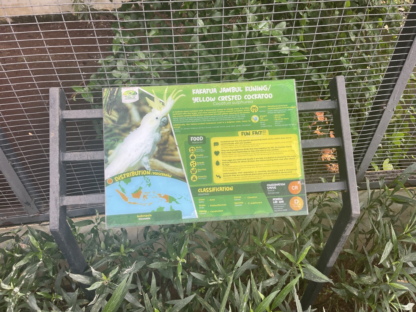 parrot paradise - yellow-crested cockatoo signage - aviary park
