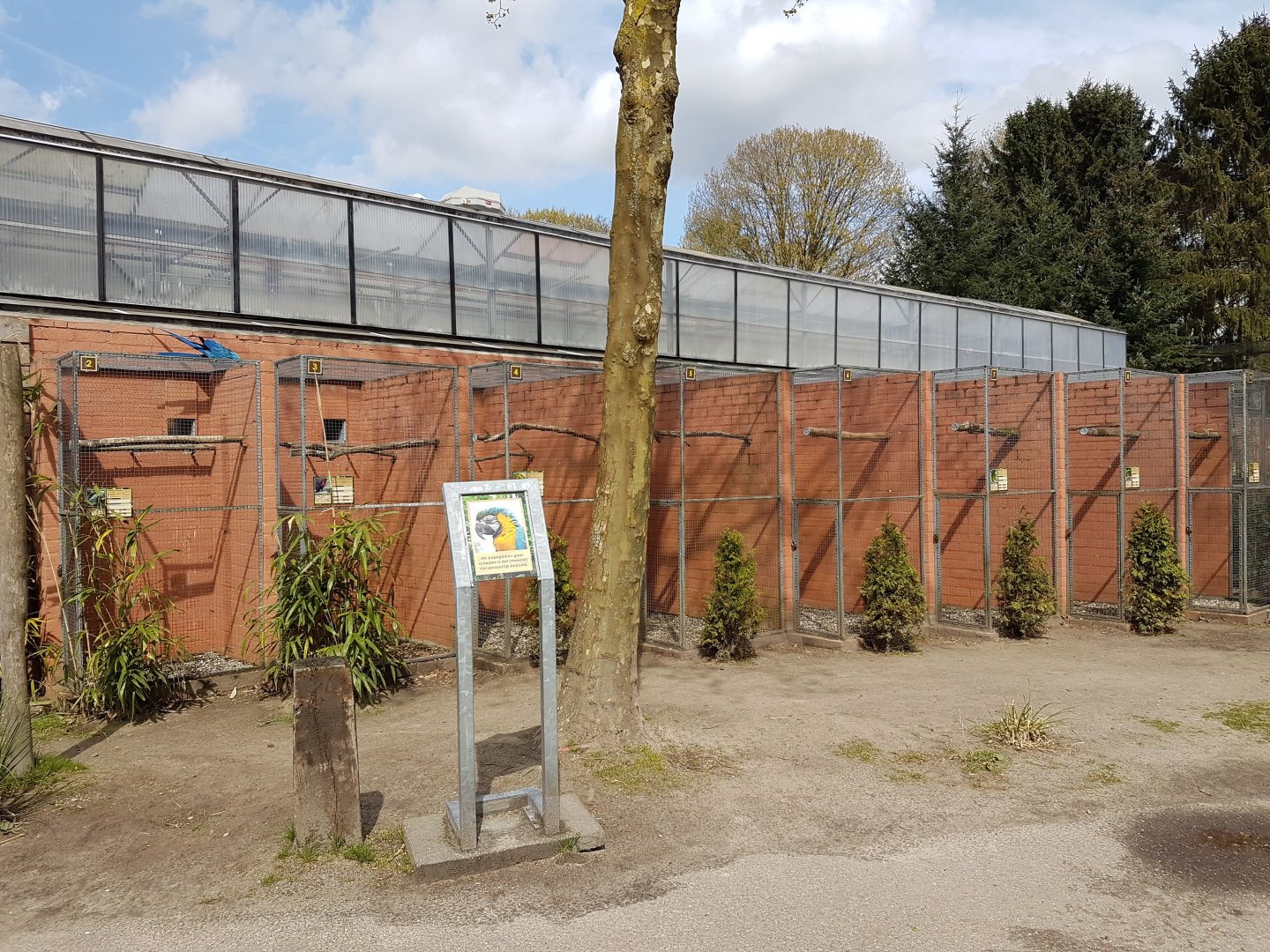 Parrot - parakeet aviaries