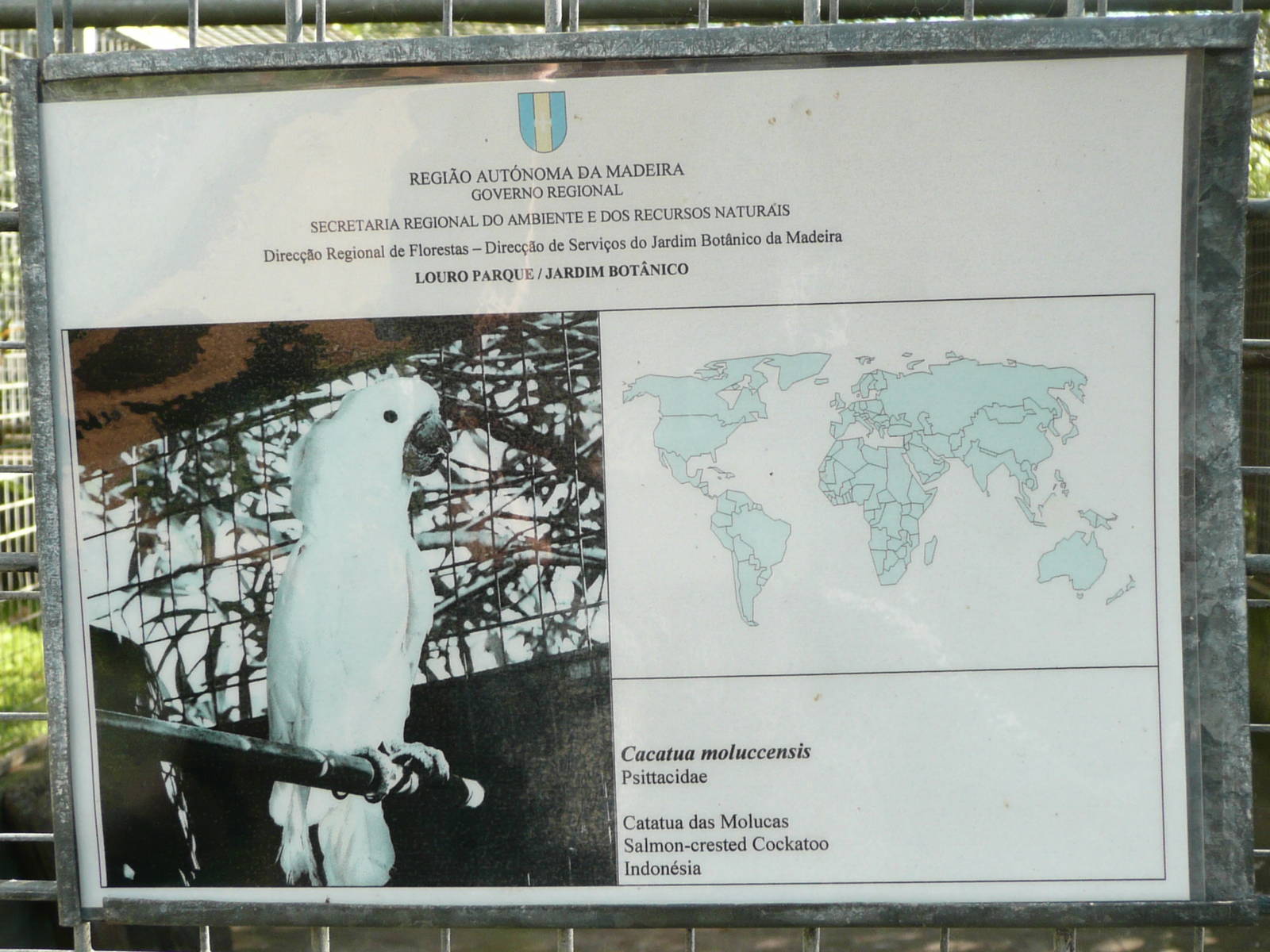 Parrot Park , Madeira Botanical Gardens , Funchal