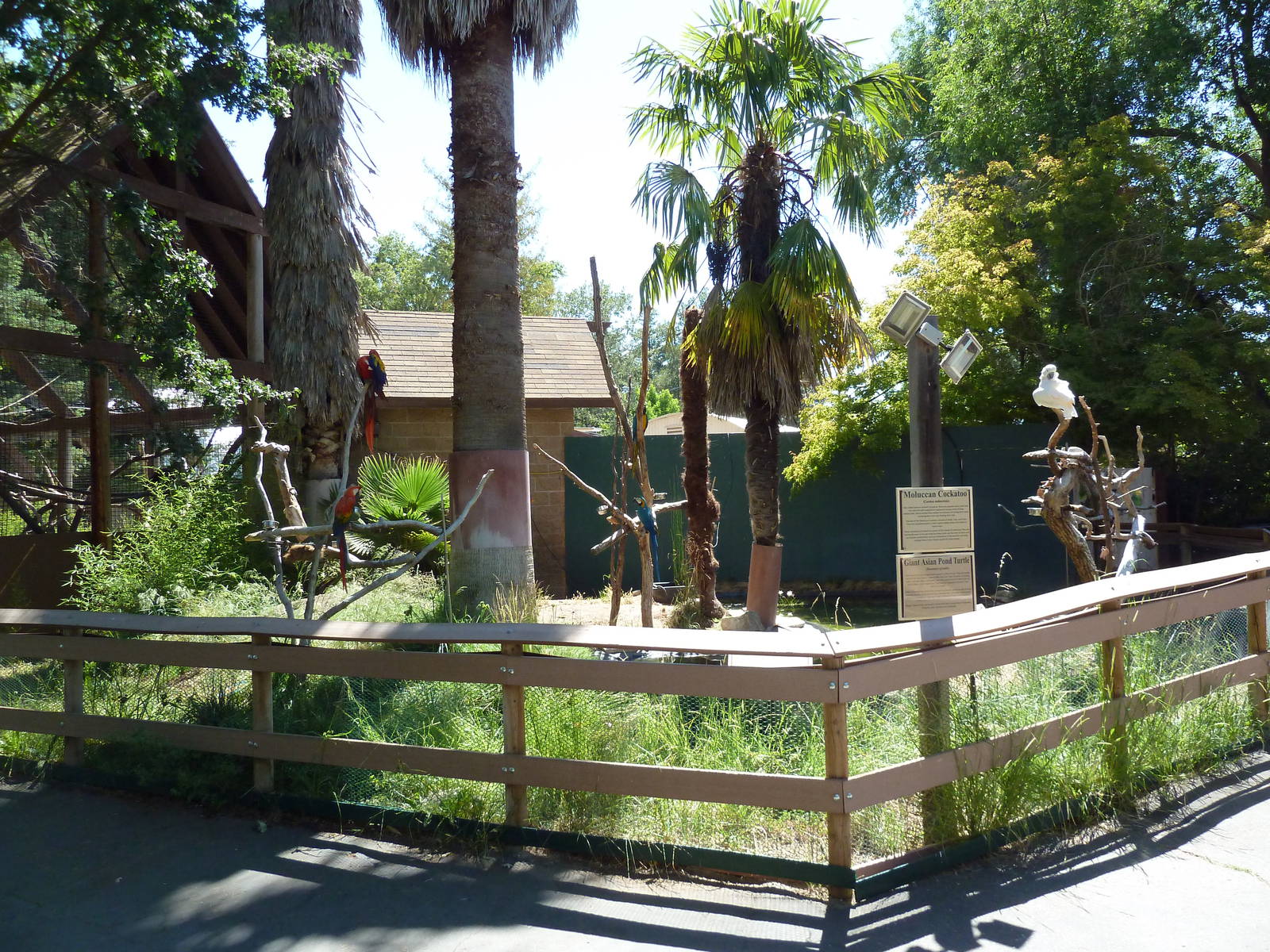 Parrot Perches (5 Species)