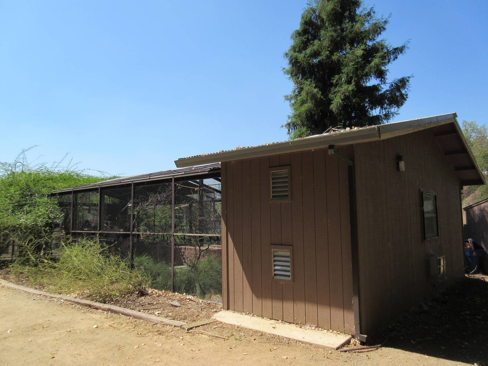 Parrot Playhouse (walk-through aviary)