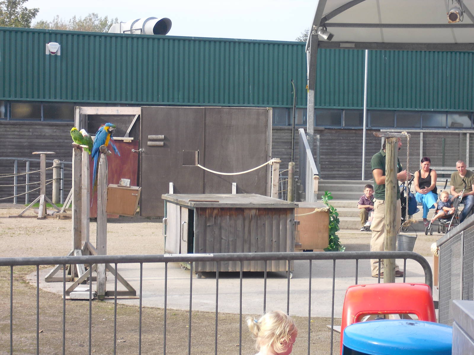 Parrot Show - 01/10/2011