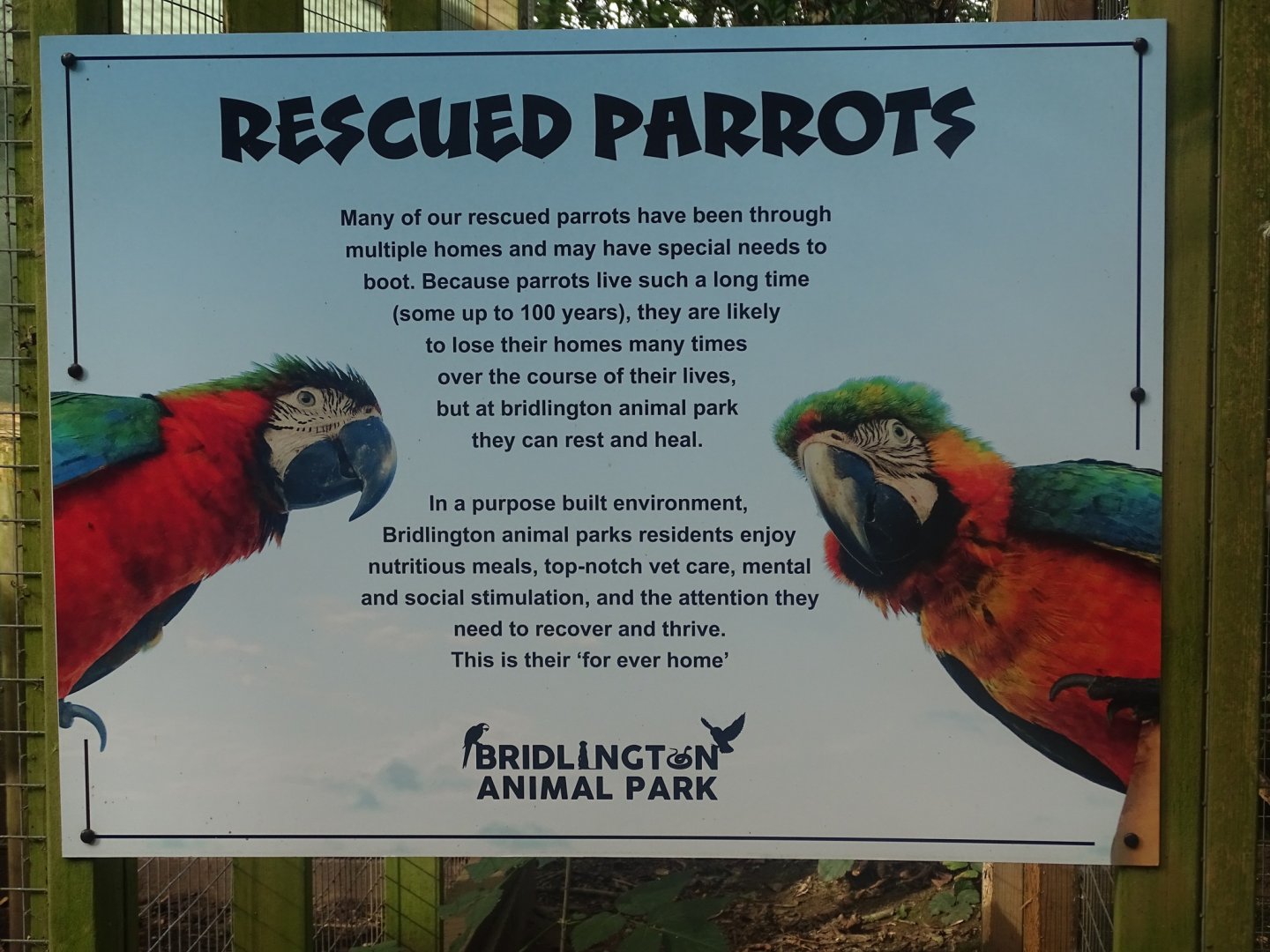 Parrot signage, 16th October 2023