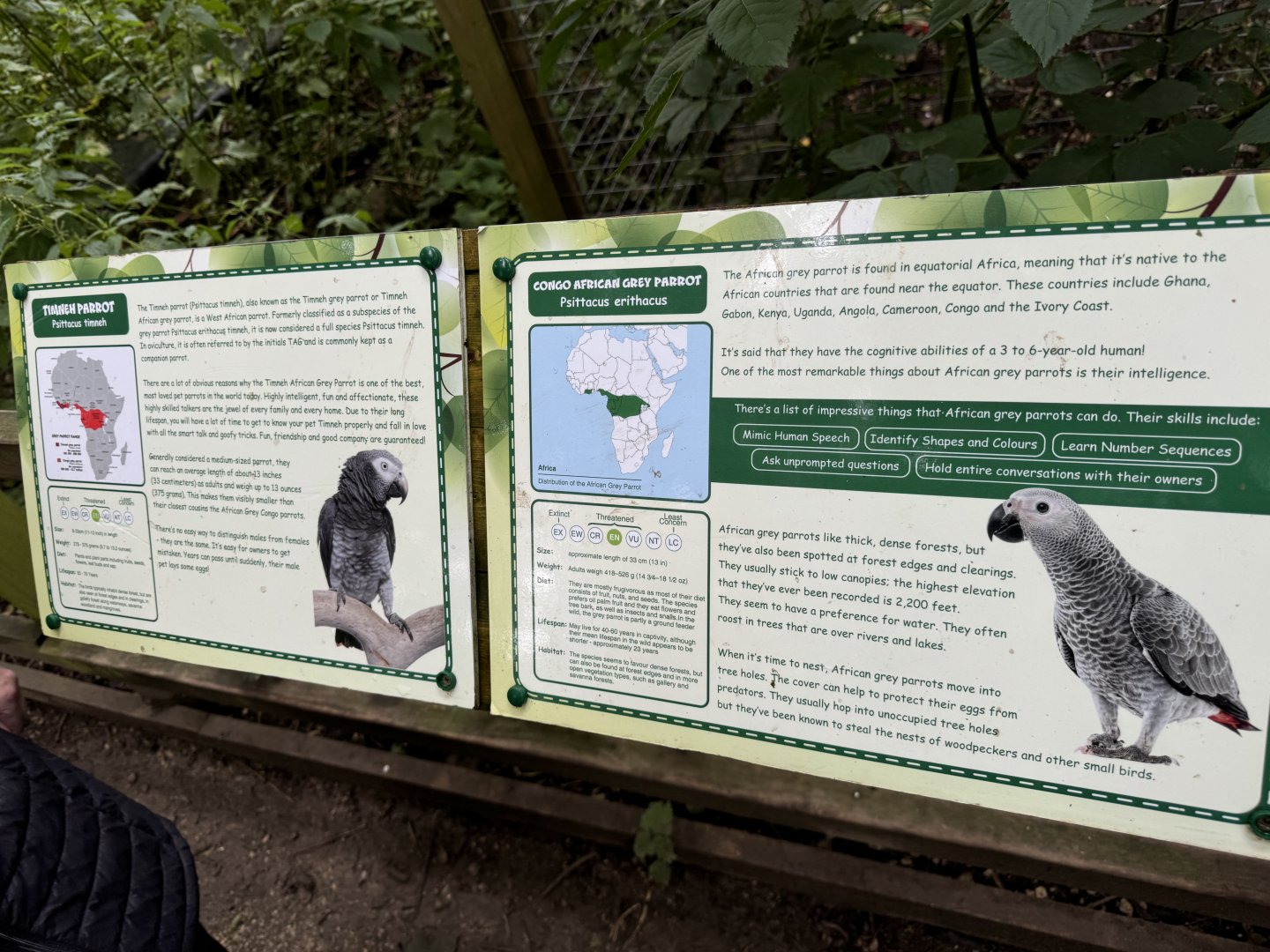 Parrot Signage at Bridlington Animal Park (July 2024)