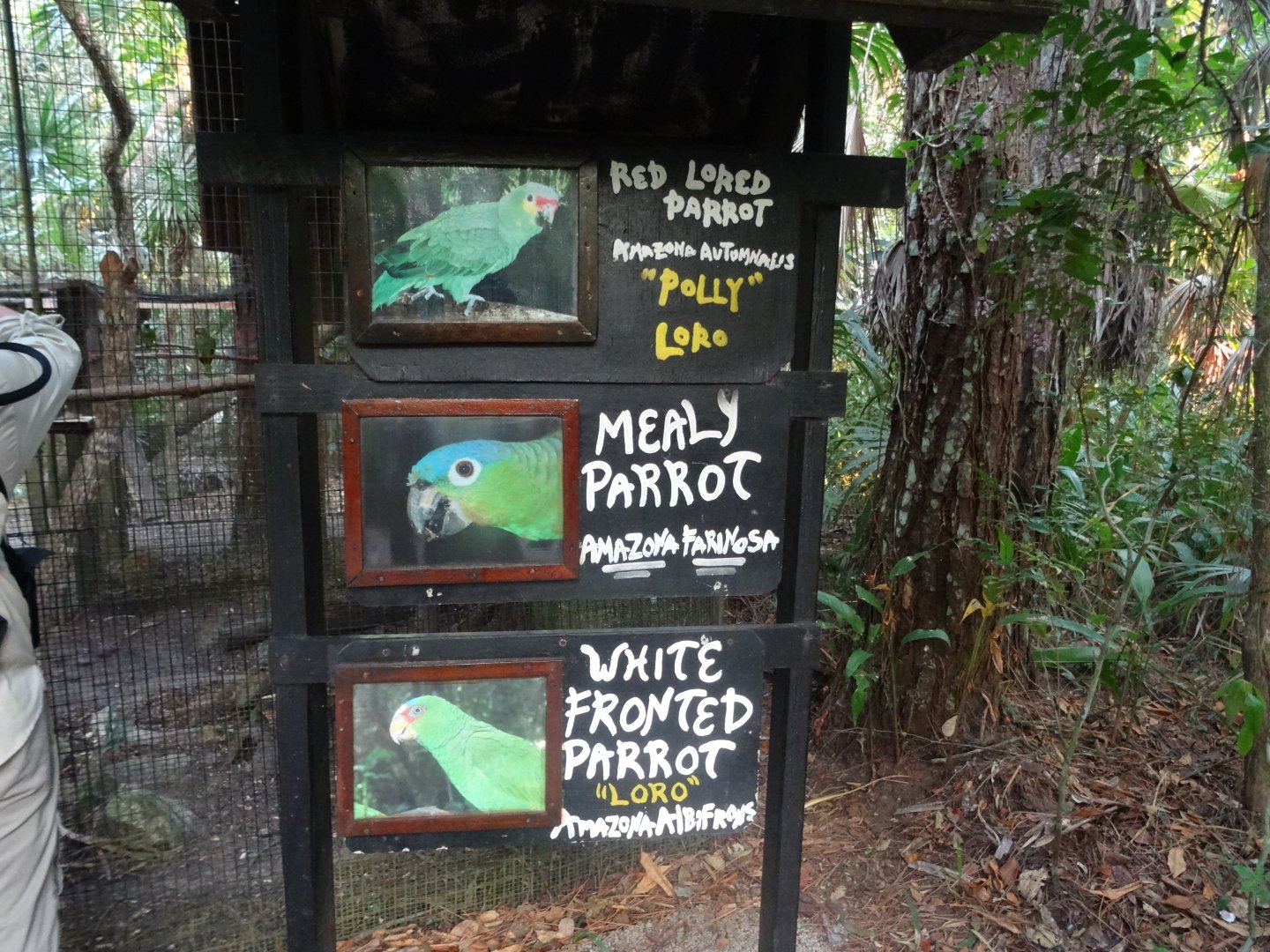 Parrot Signage