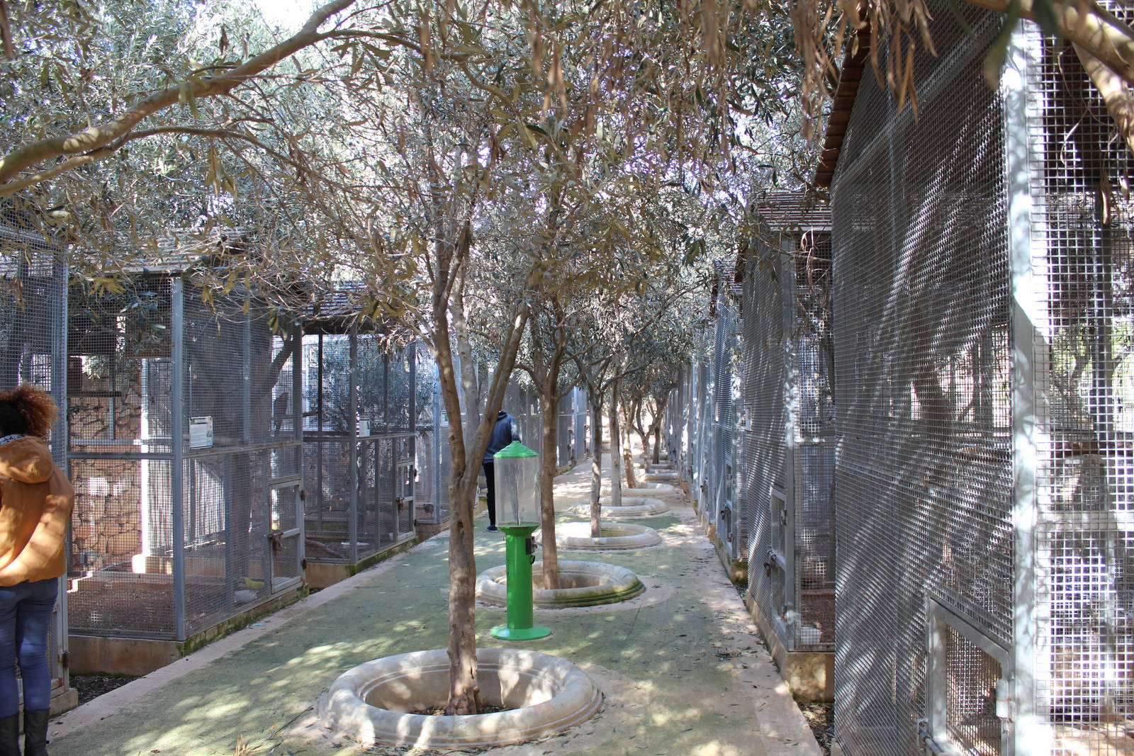 Parrot & Small Monkey Area - MonteKristo Animal Park, Malta