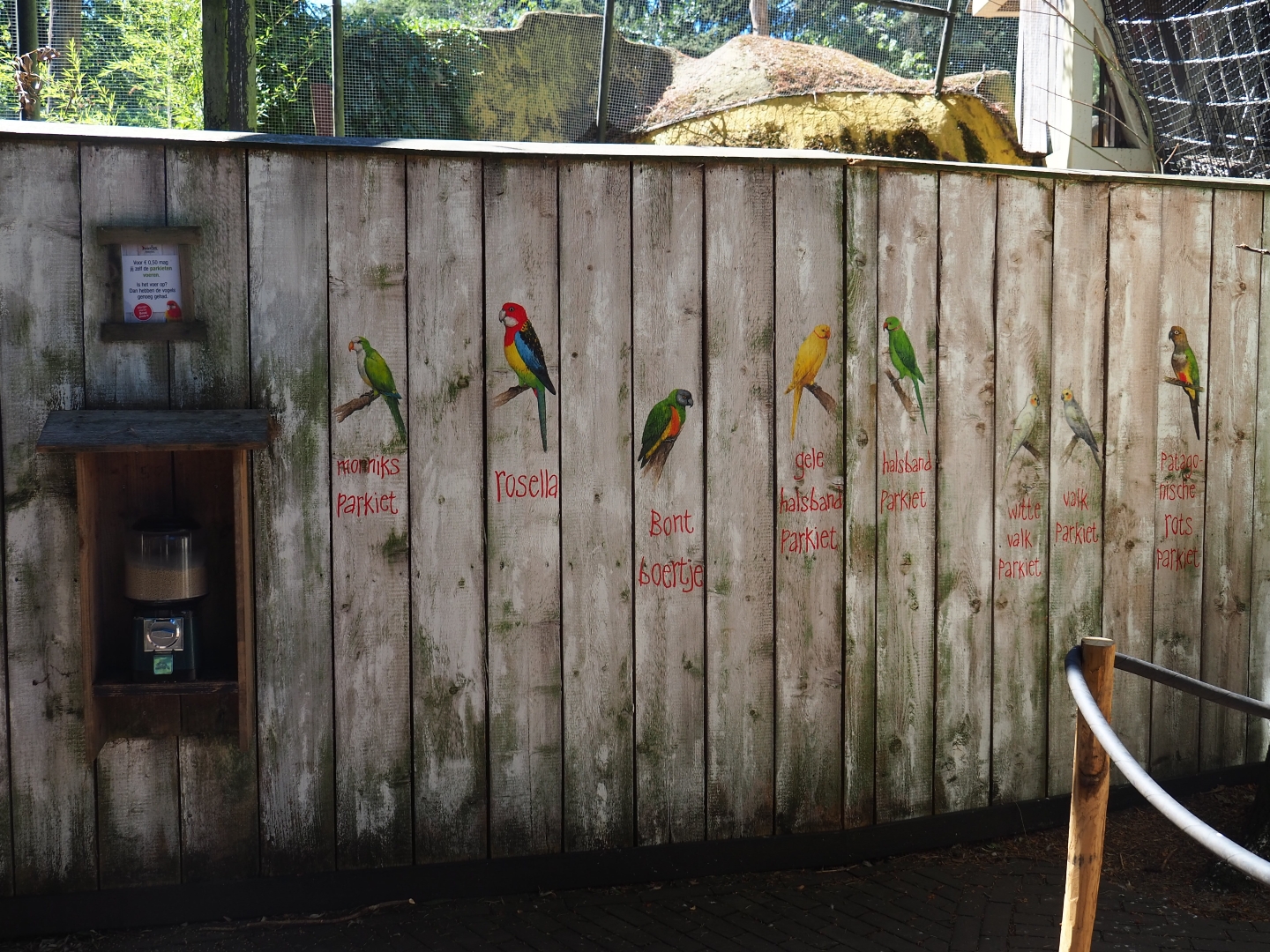 Parrot species mural and parrot feed dispenser