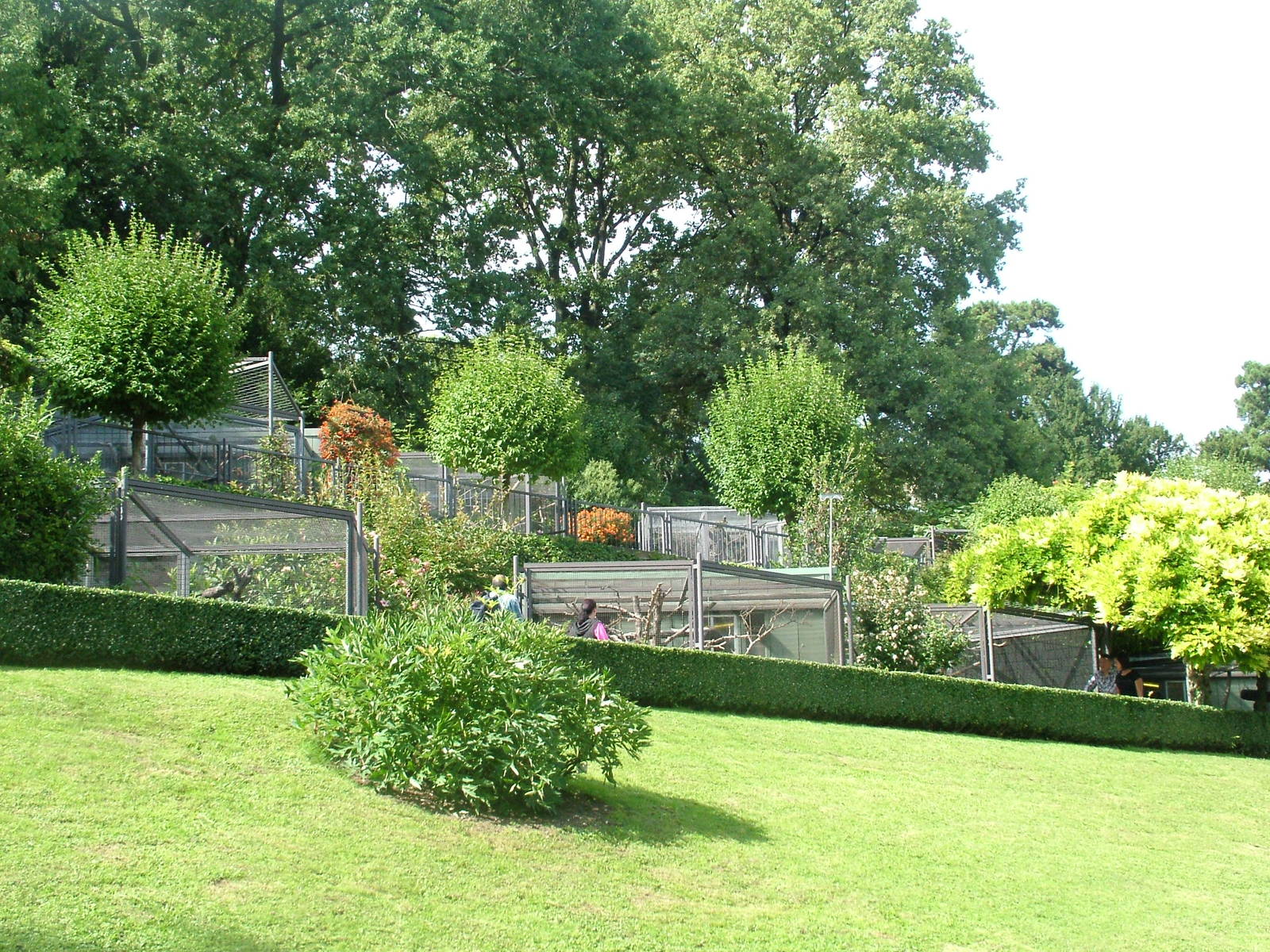 Parrot Terraces at Wilhelma, Stuttgart 02/09/10