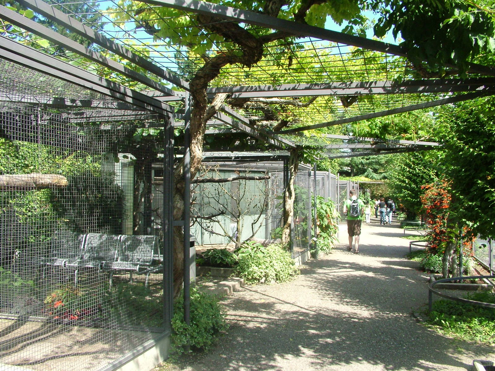 Parrot Terraces at Wilhelma, Stuttgart 02/09/10