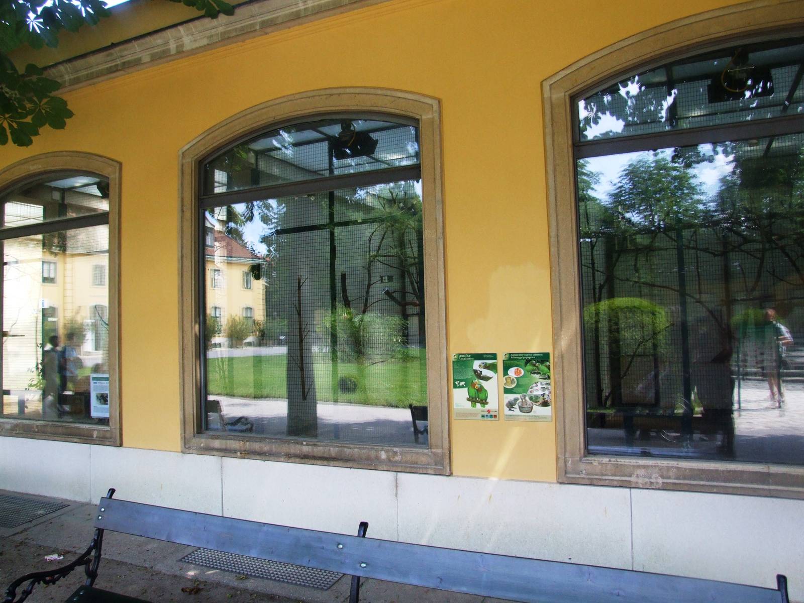 Parrot Viewing at Vienna, 14/06/13