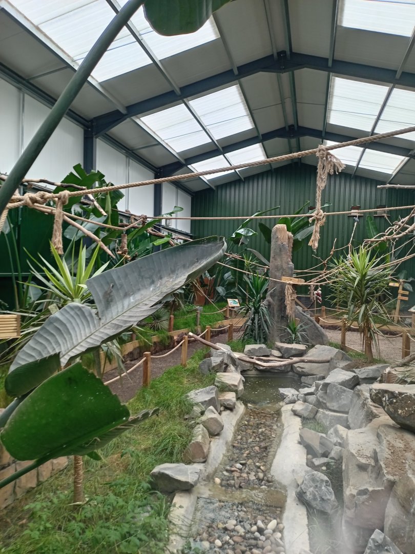 Parrot Walkthrough 17/8/23