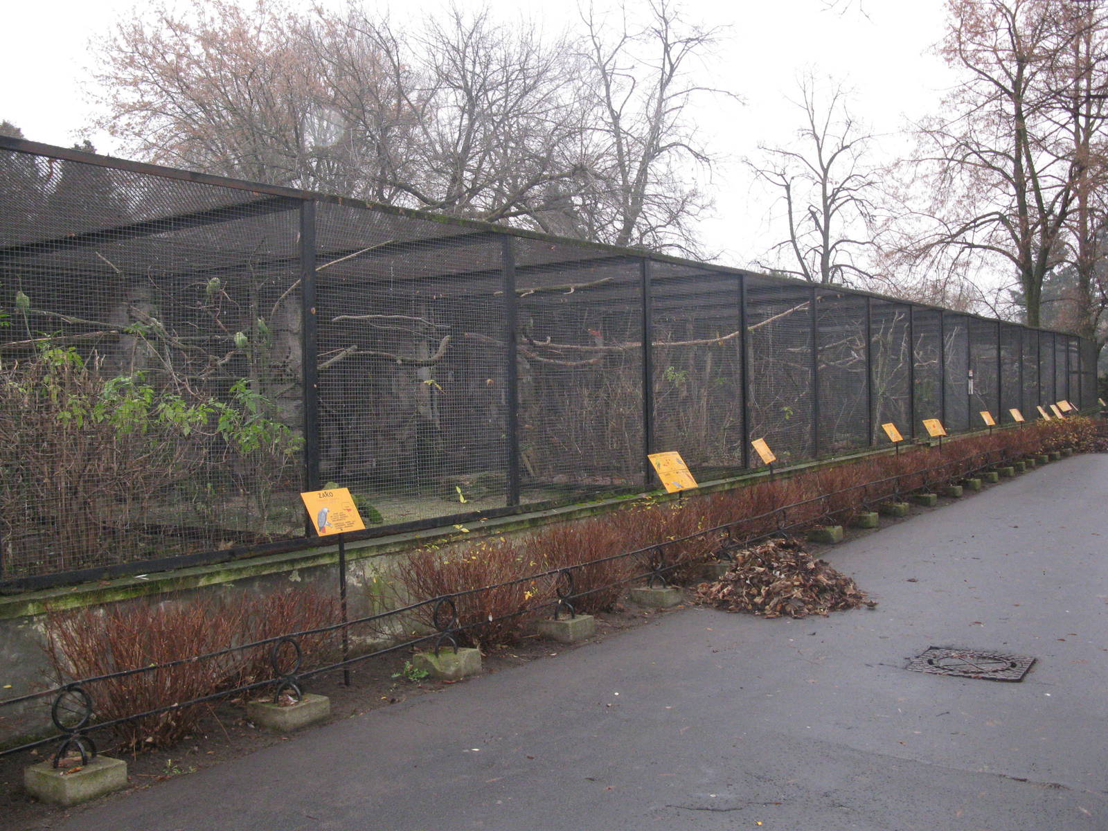 Parrot's aviary