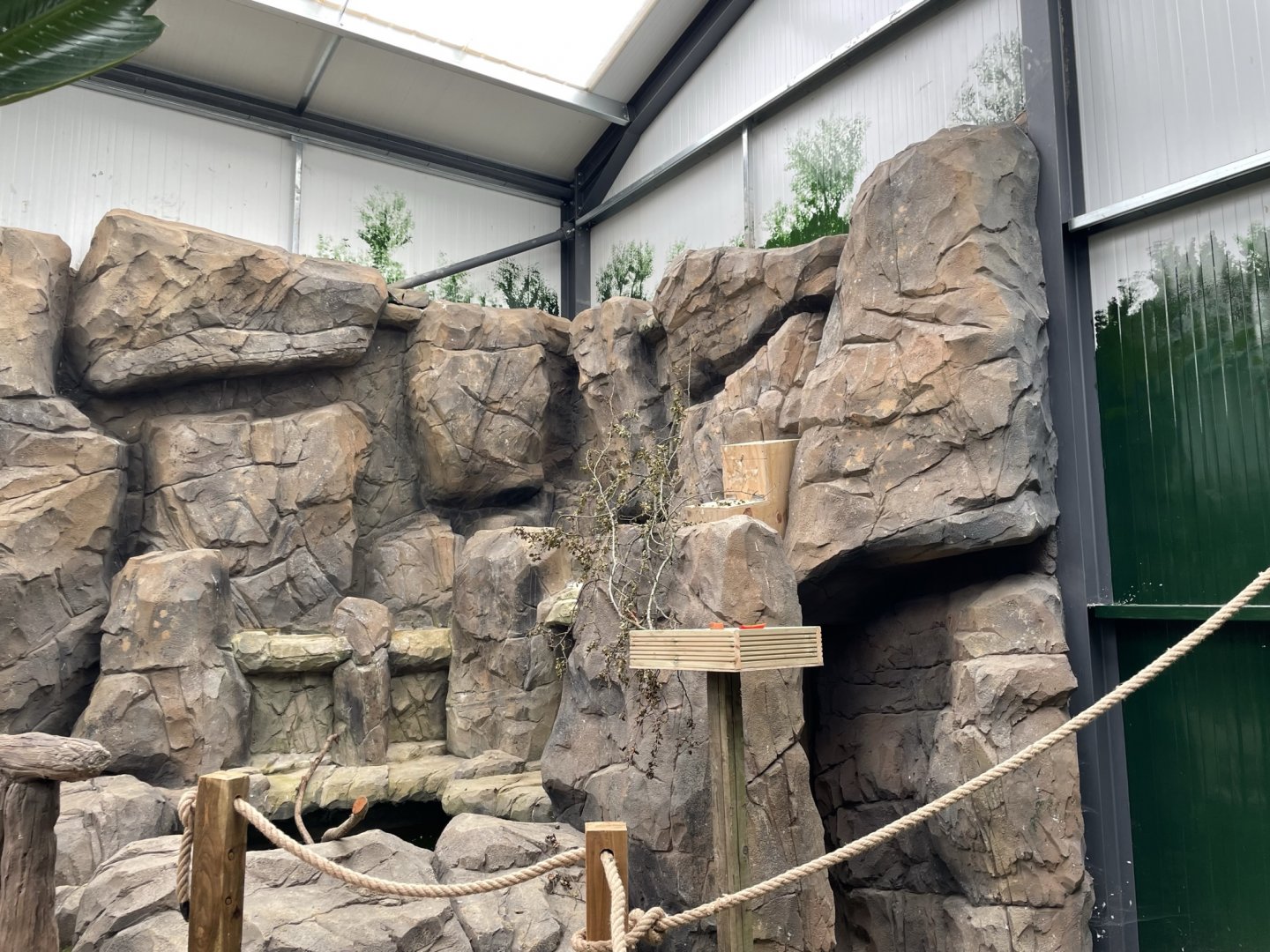 Parrots of the World