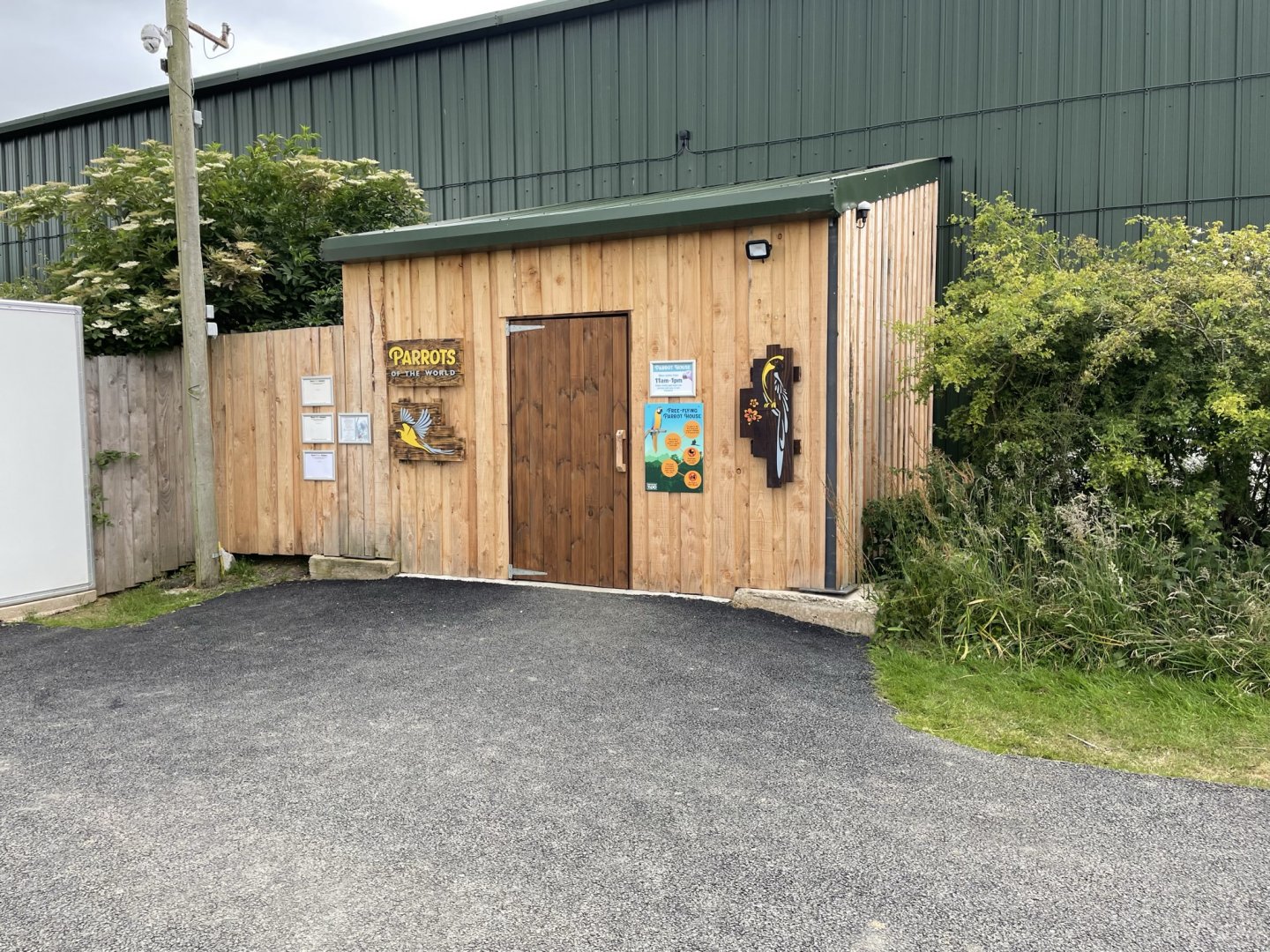 Parrots of the World