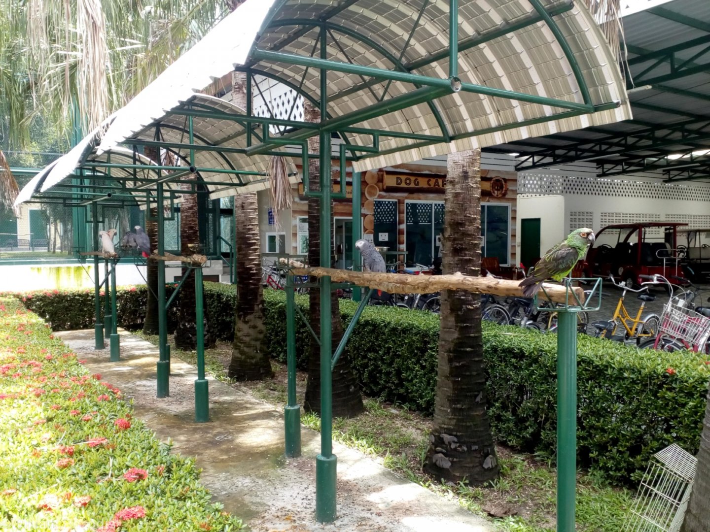 Parrots on Sticks at Entrance