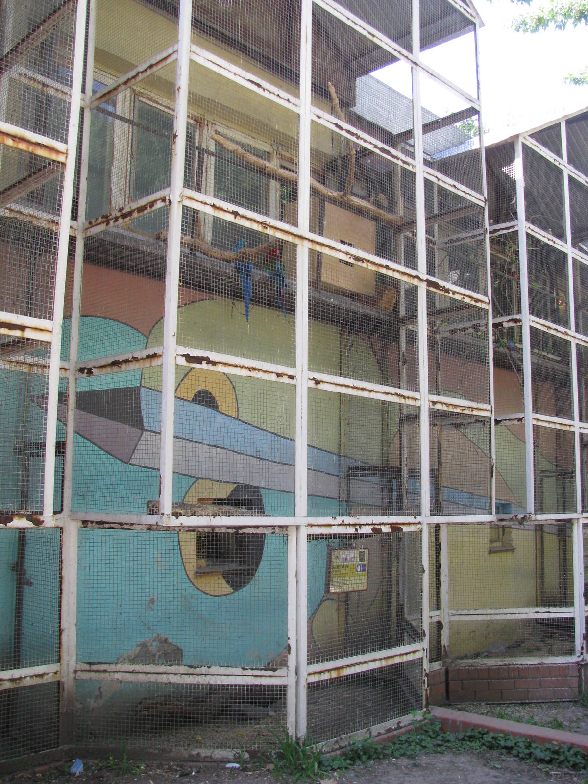 Parrots outdoor exhibit