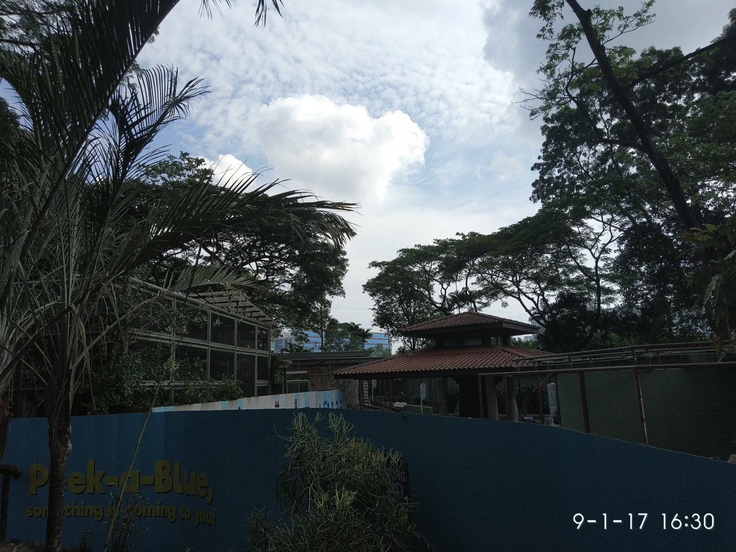 Parrots Paradise Renovations