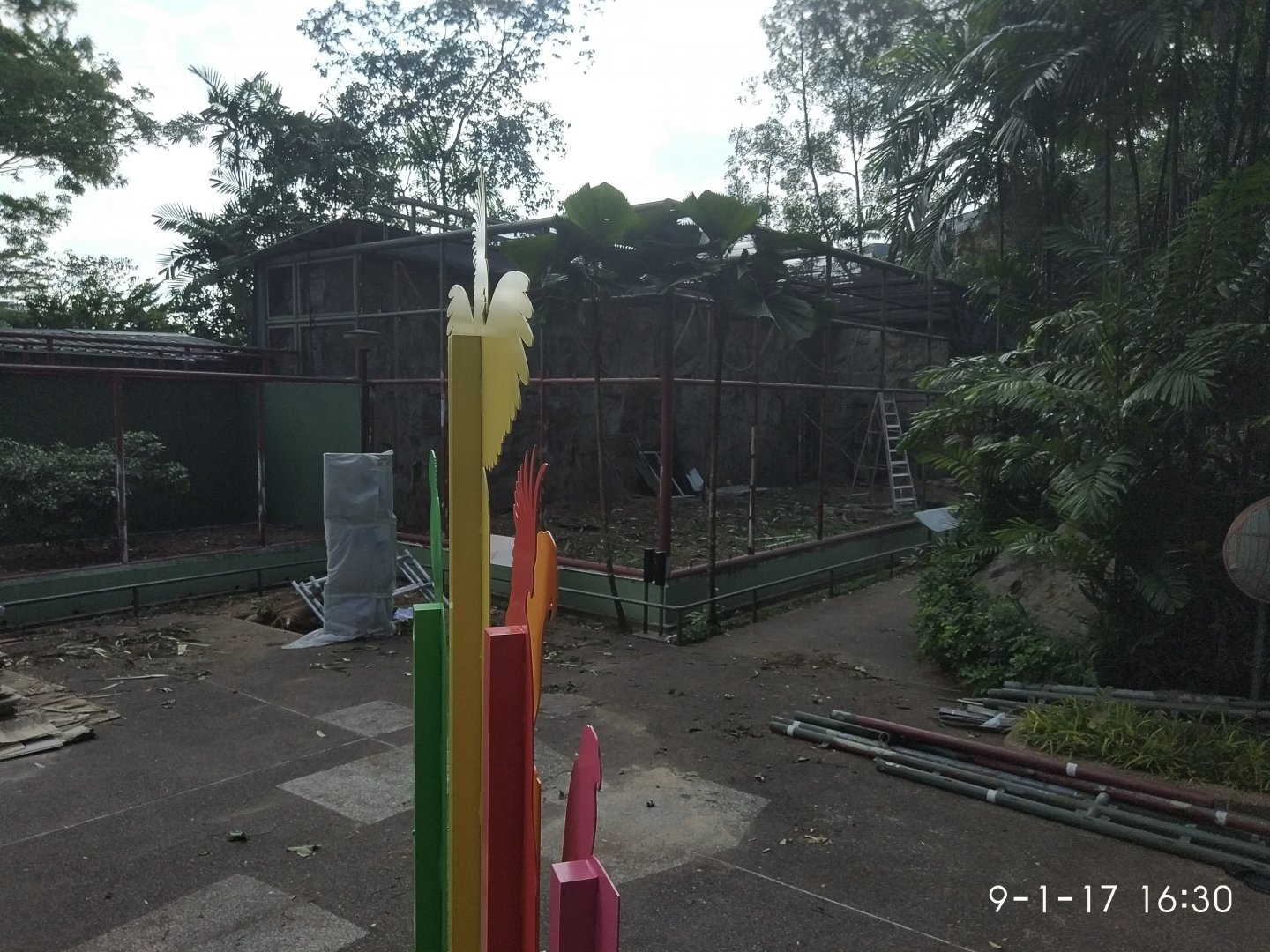 Parrots Paradise Renovations