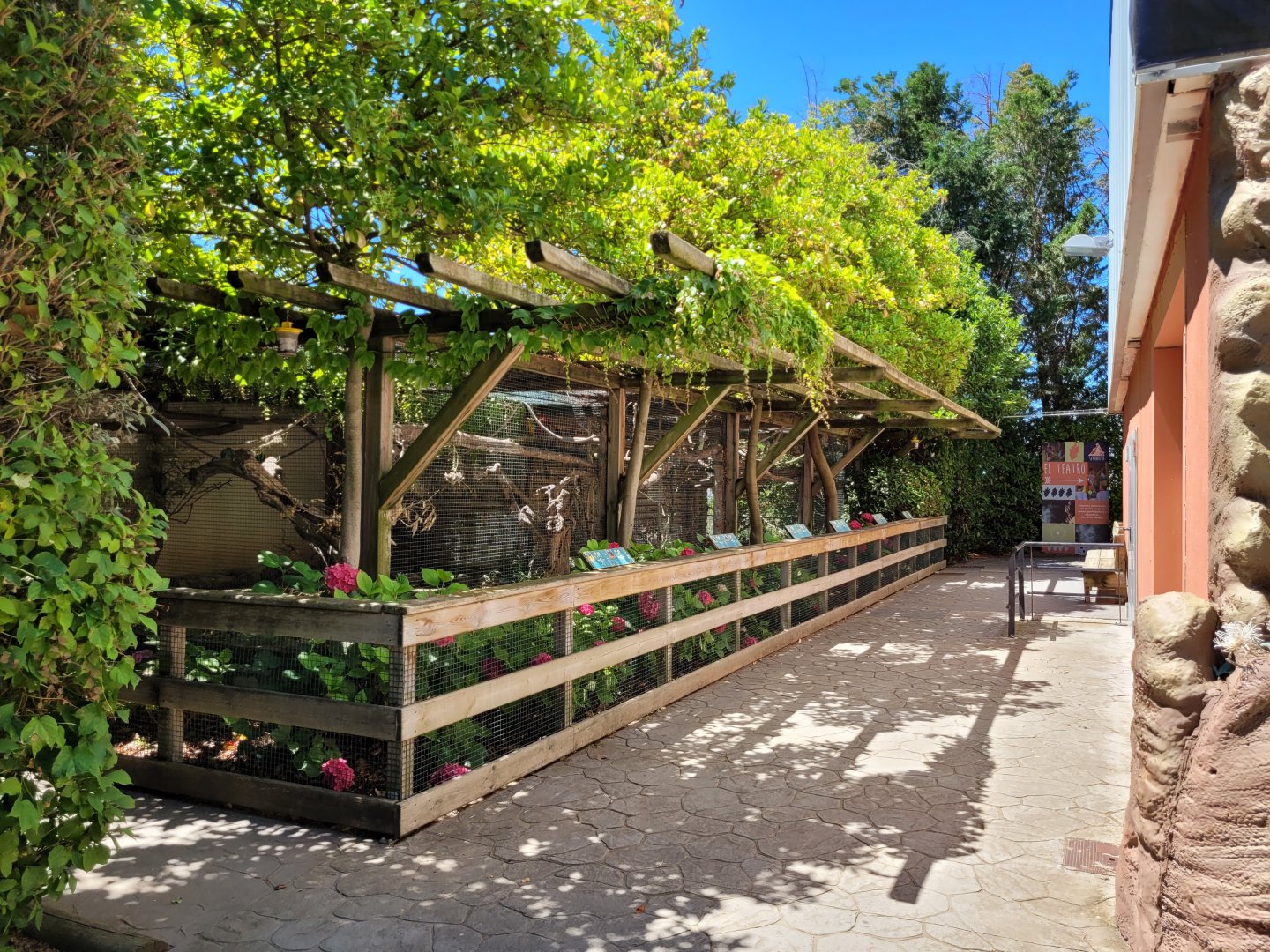 "Parrot's plaza" aviaries -Sendaviva (2024)