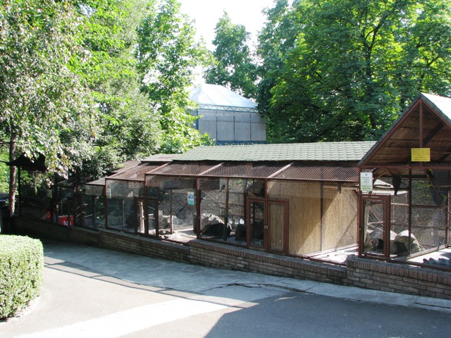 Parrots_and_other_small_birds