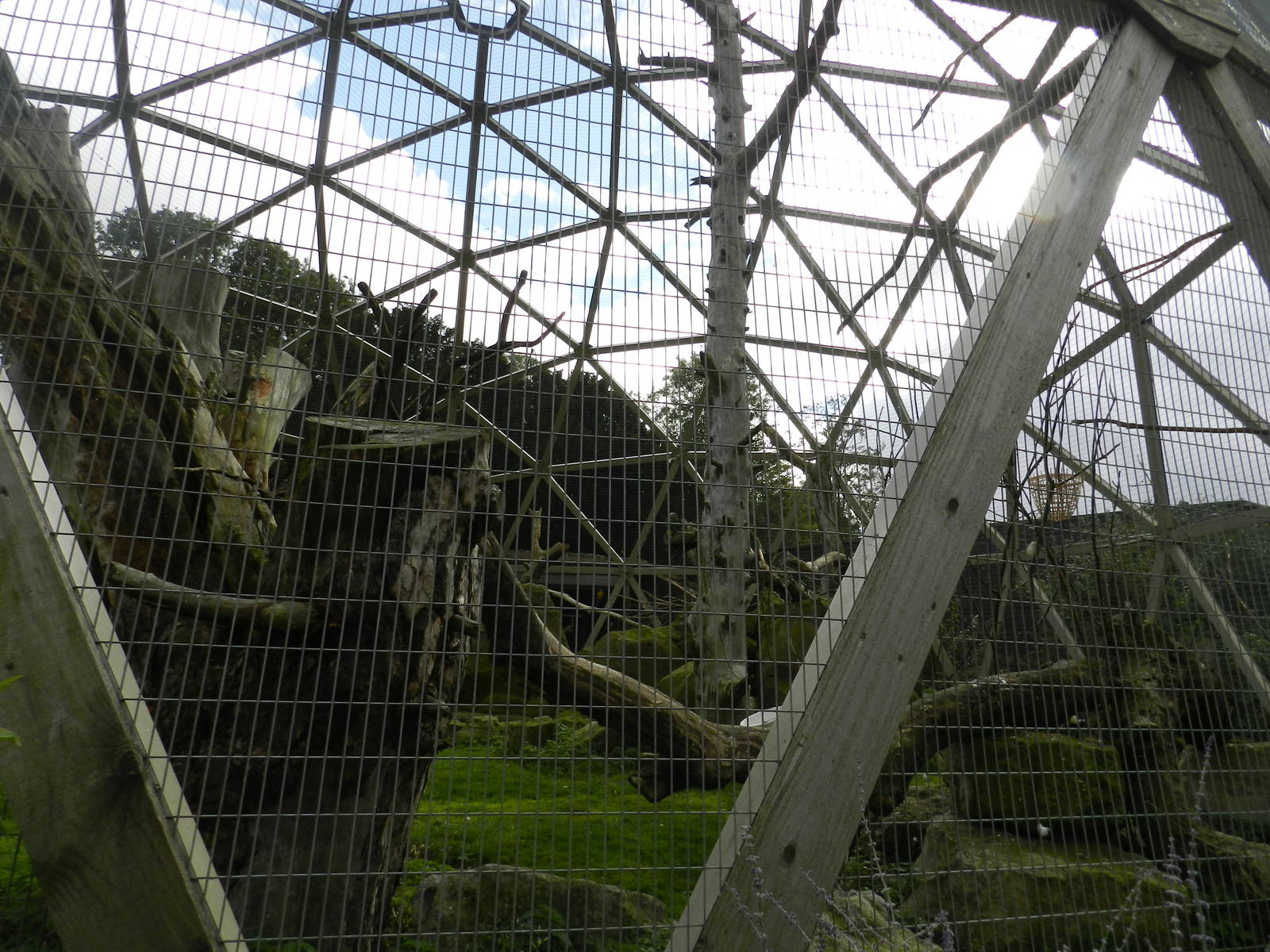 Parrotspere at Flamingo Land - 14/10/2012