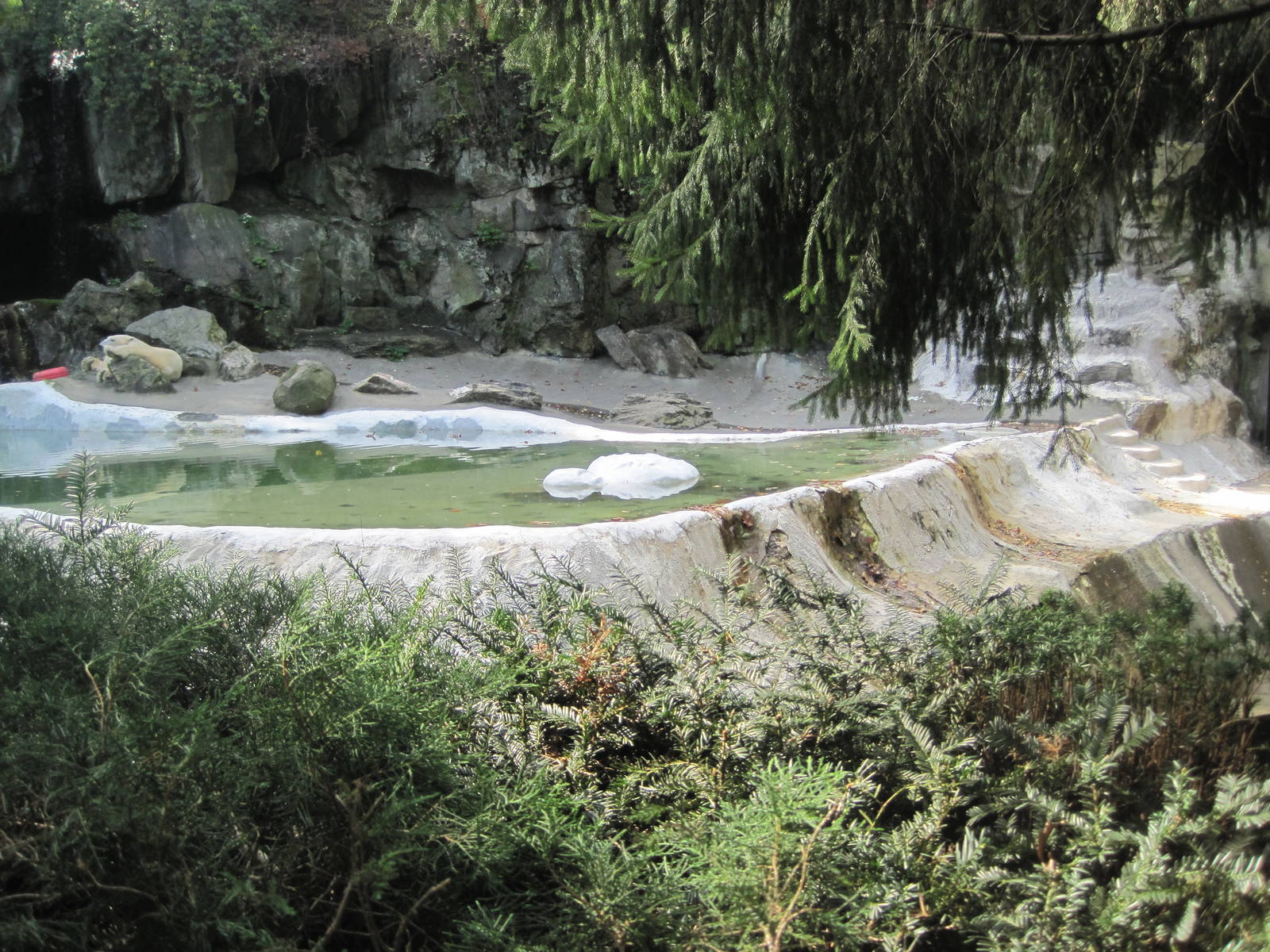 Part 2 of Polar Bear Exhibit