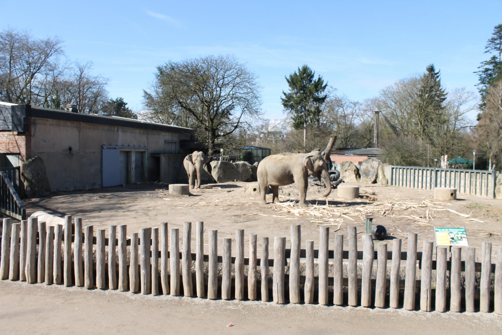 Part Asian elephant outdoor-eclosure