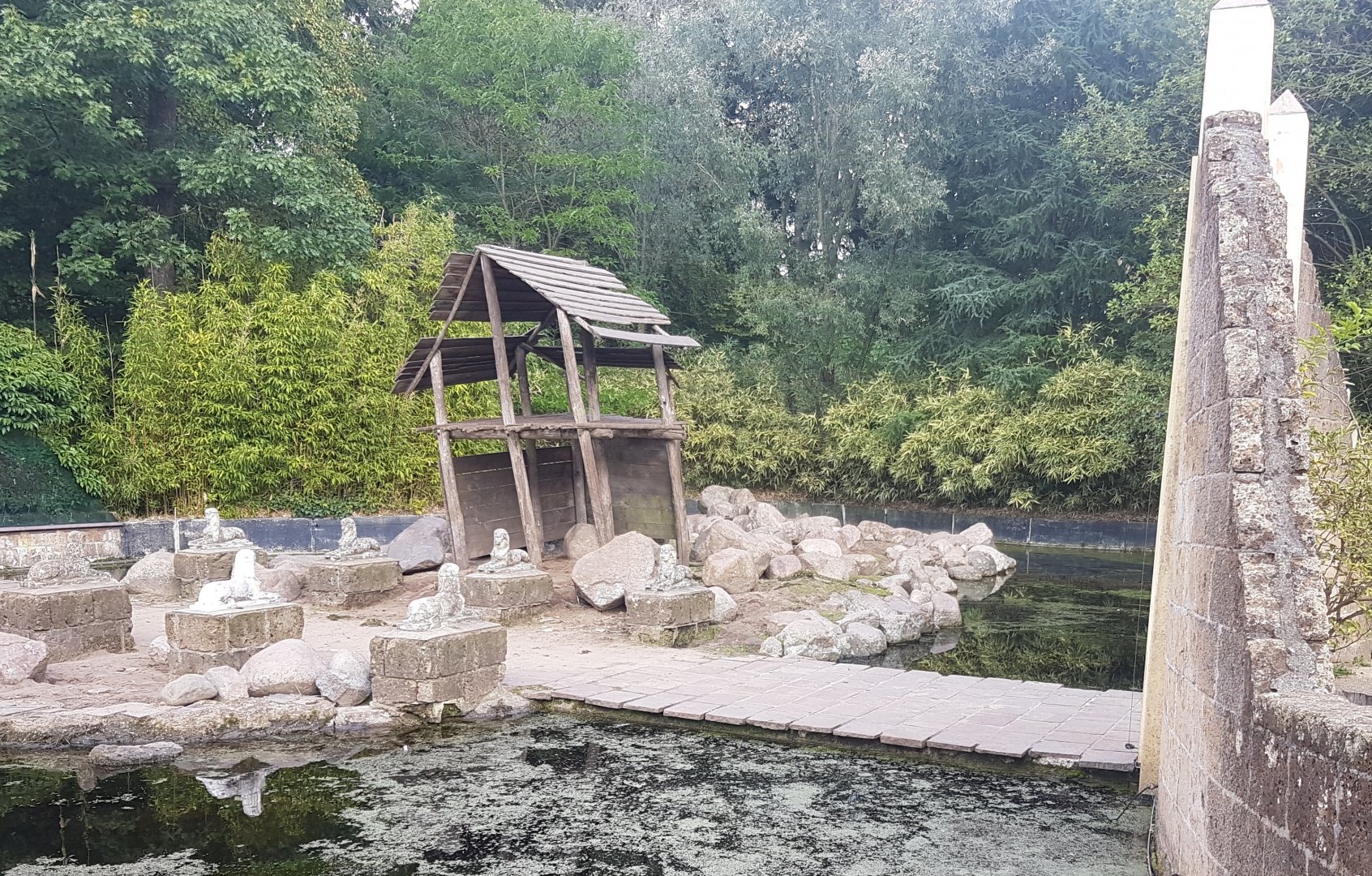 Part Barbary sheep - Hamadryas baboon enclosure