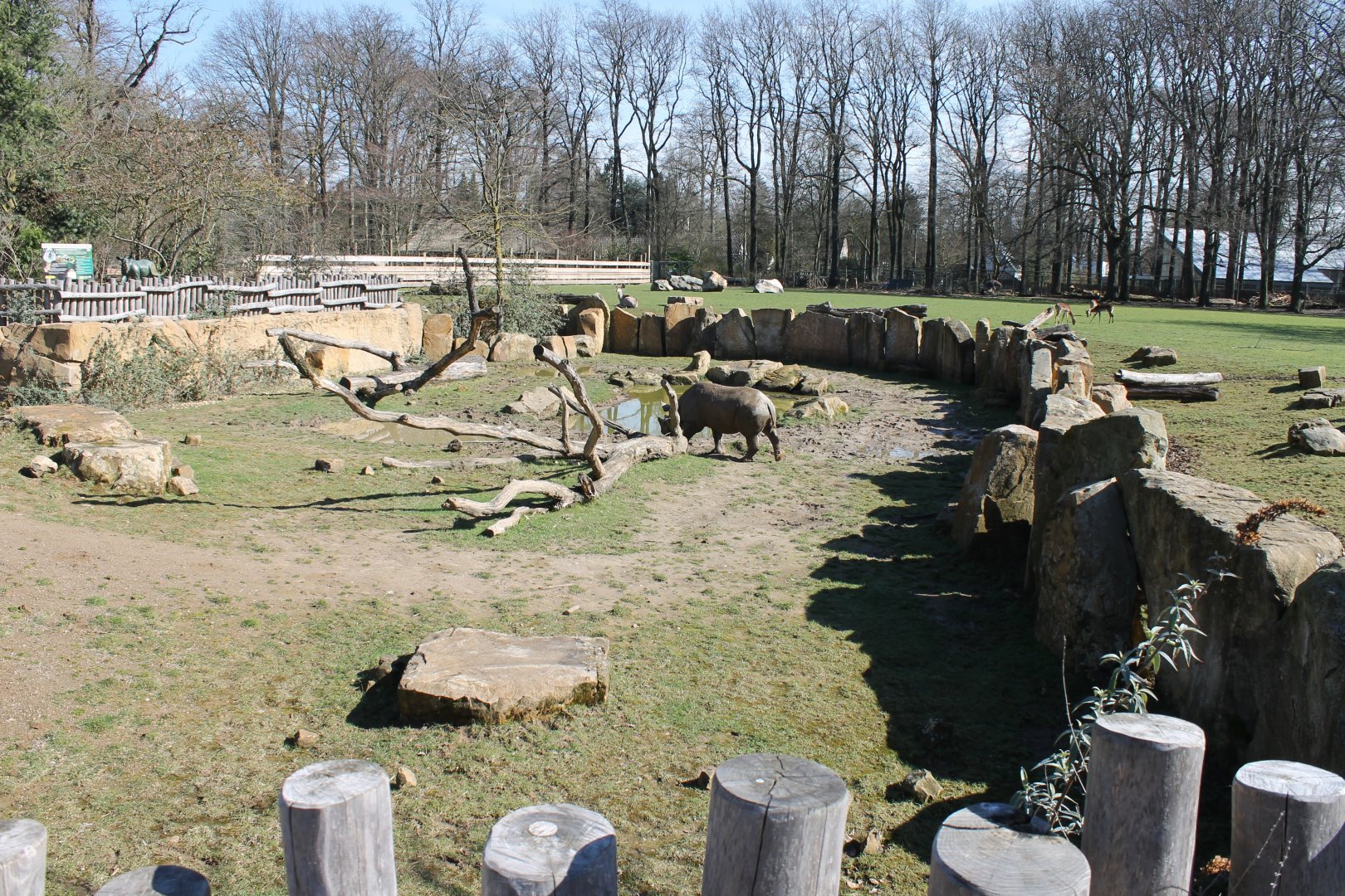 Part Black rhinoceros-enclosure