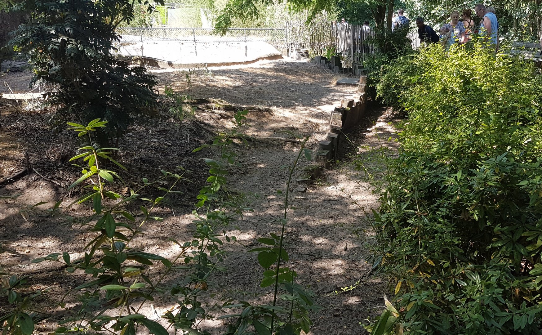 Part Blue duiker-enclosure