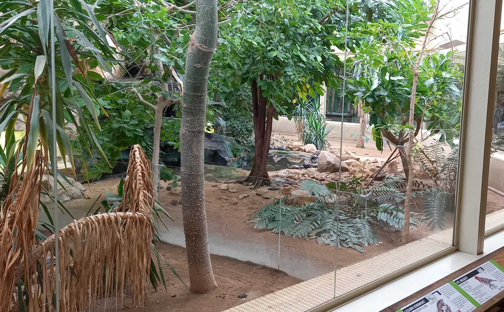 Part Caribbean enclosure