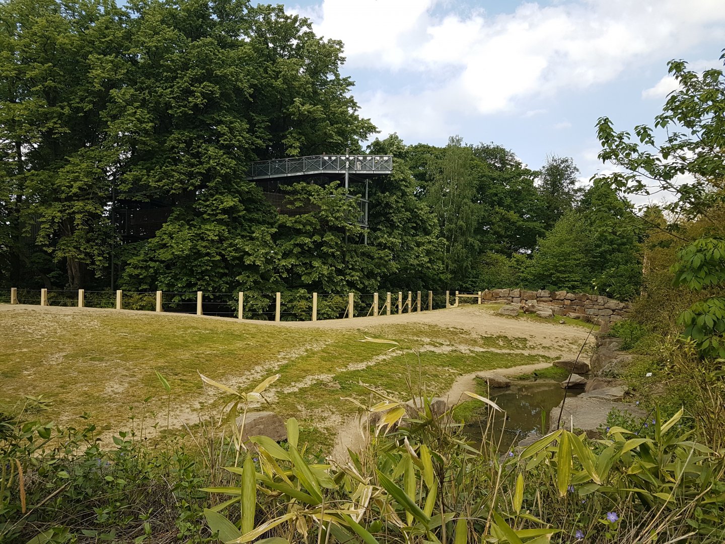 Part Elephant out-door enclosure